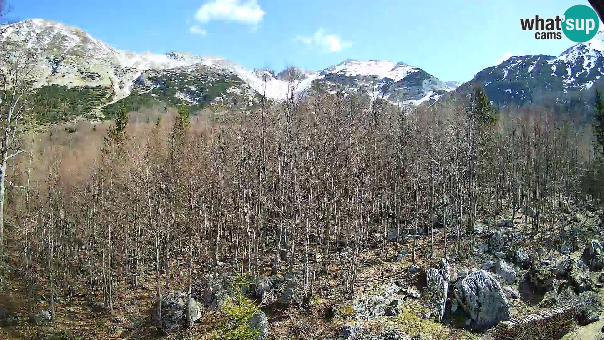 PLANINA RAZOR web kamera (1315) | pogled na Vogel i Globoko