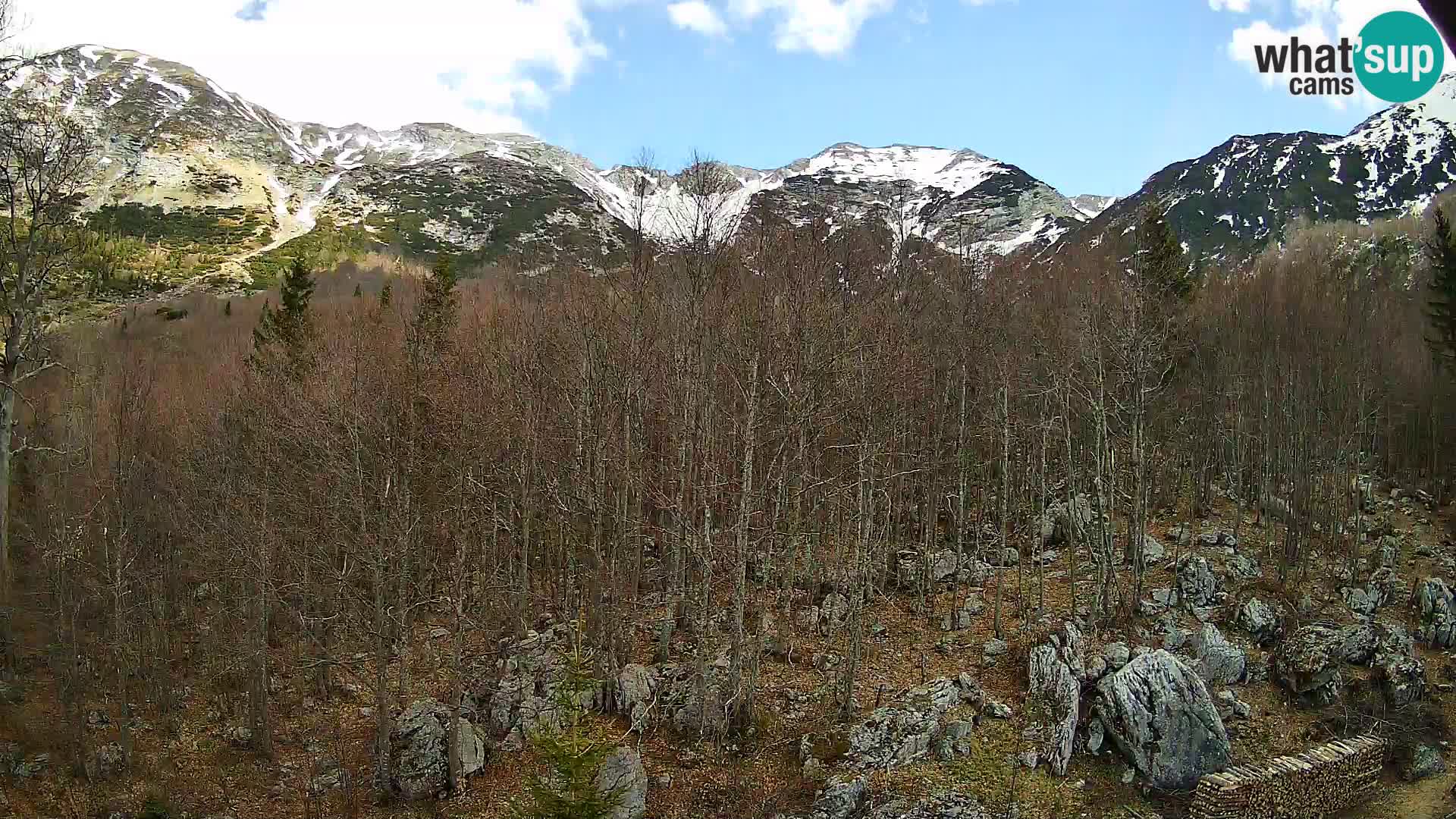 PLANINA RAZOR kamera (1315) | pogled na Vogel in Globoko