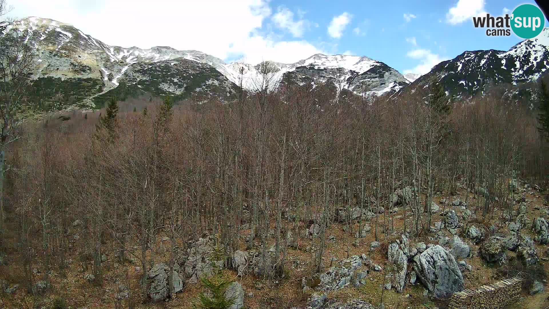 Livecam PLANINA RAZOR (1315) | vue sur Vogel et Globoko