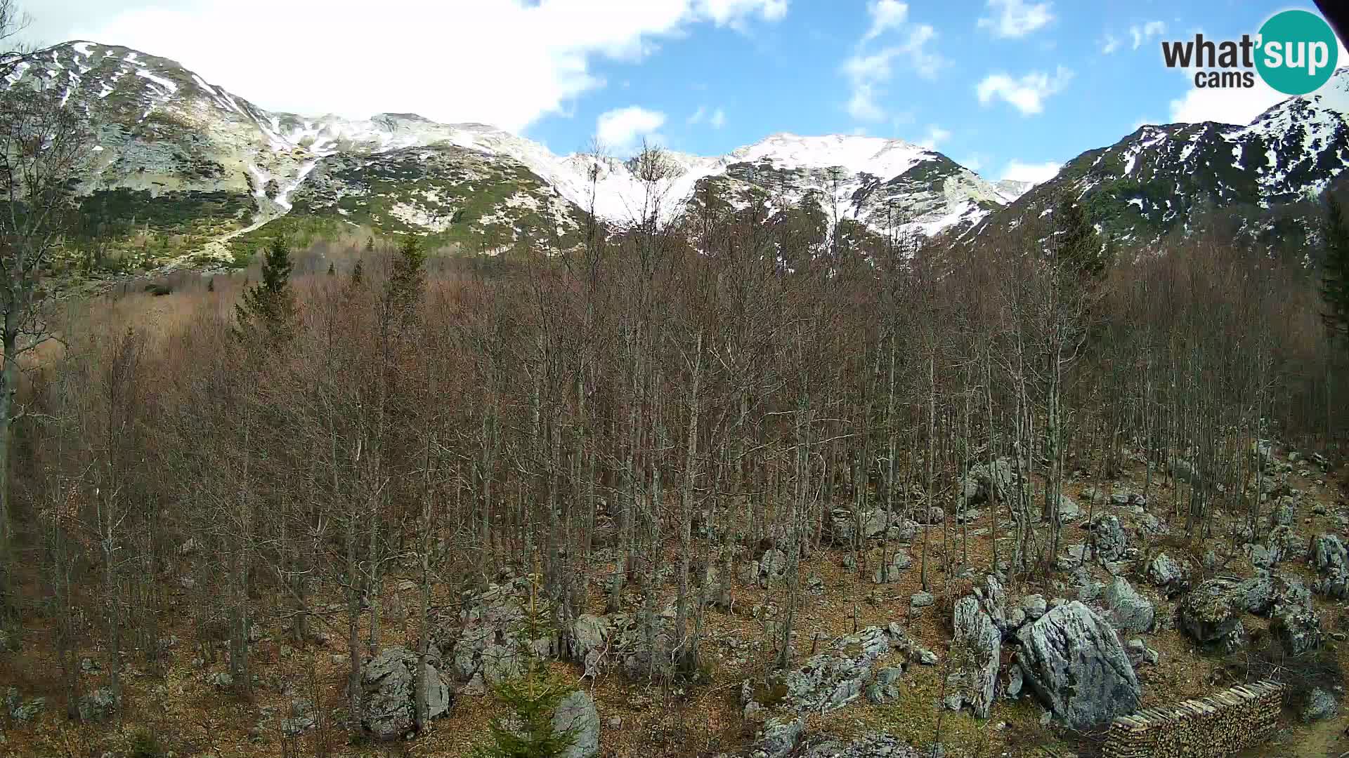 PLANINA RAZOR Live Cam (1315) | vista su Vogel e Globoko