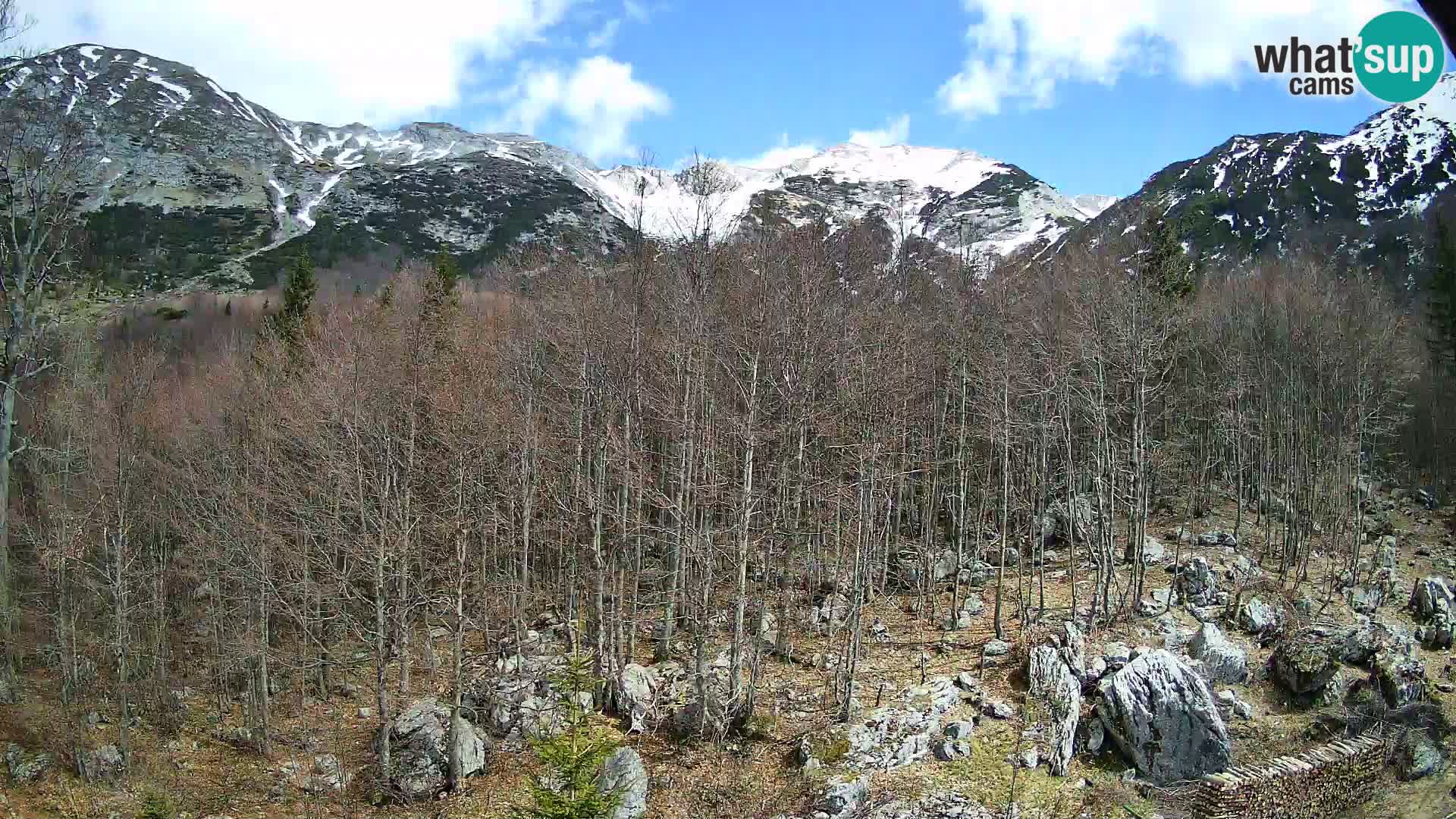 PLANINA RAZOR kamera (1315) | pogled na Vogel in Globoko