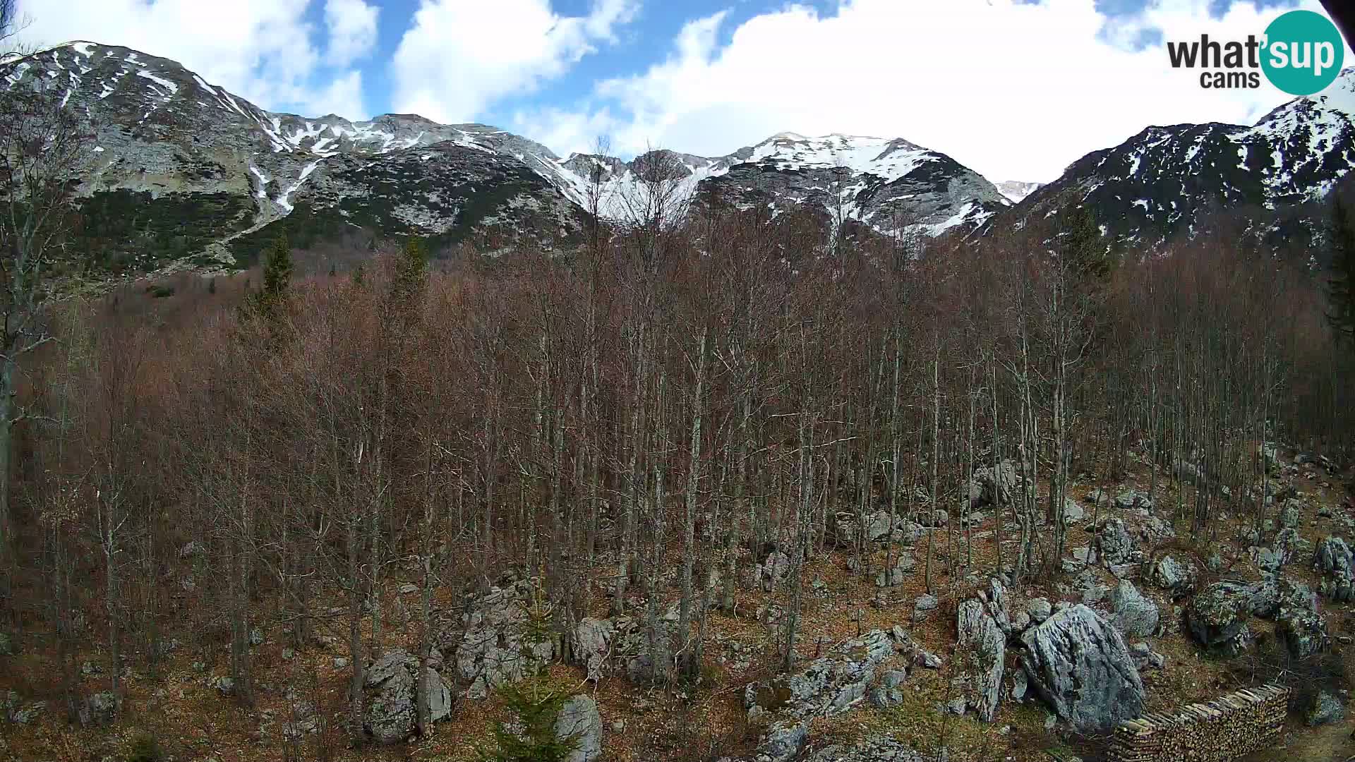 PLANINA RAZOR Live Cam (1315) | vista su Vogel e Globoko
