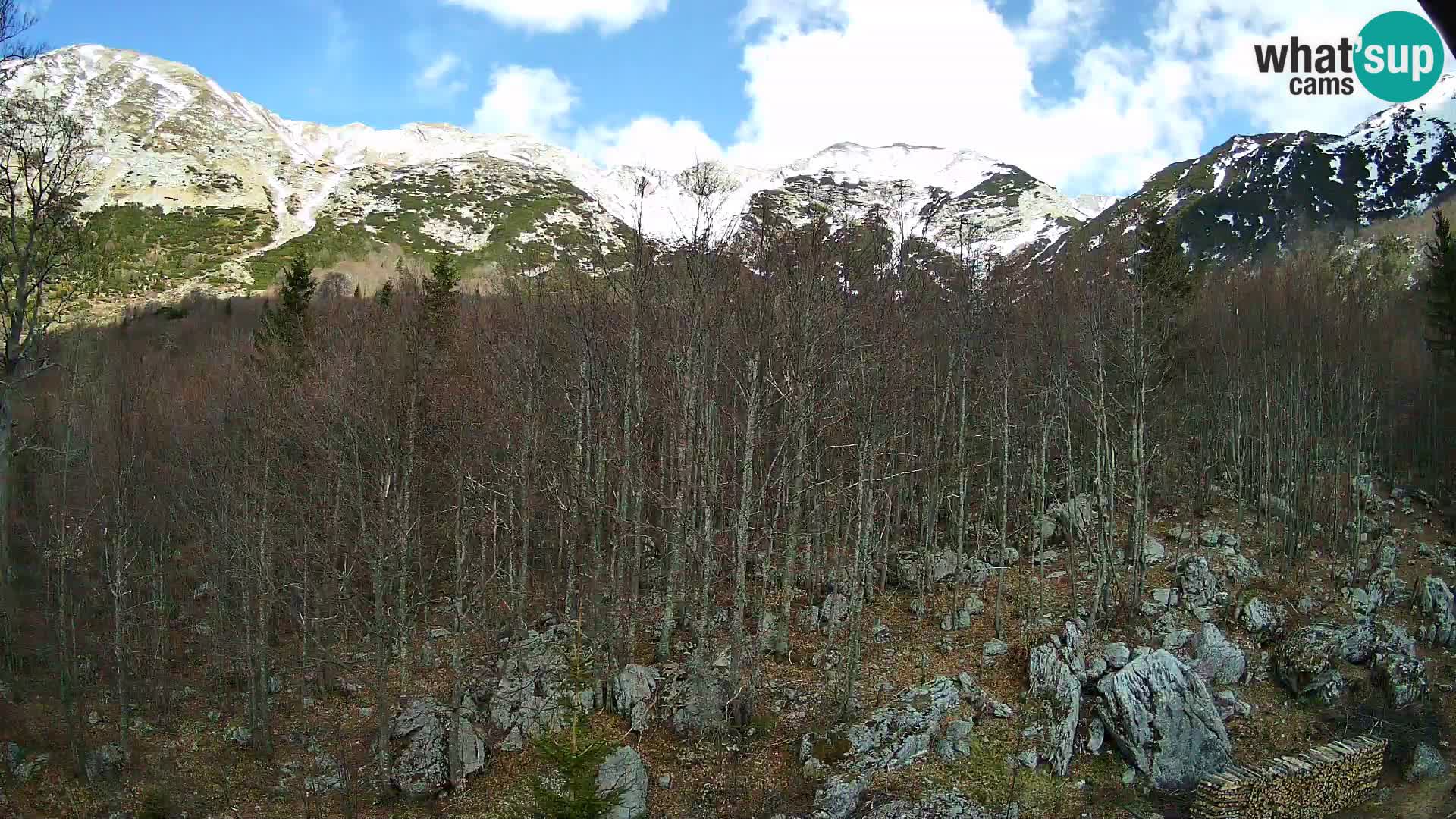 PLANINA RAZOR webcam (1315) | view to Vogel and Globoko