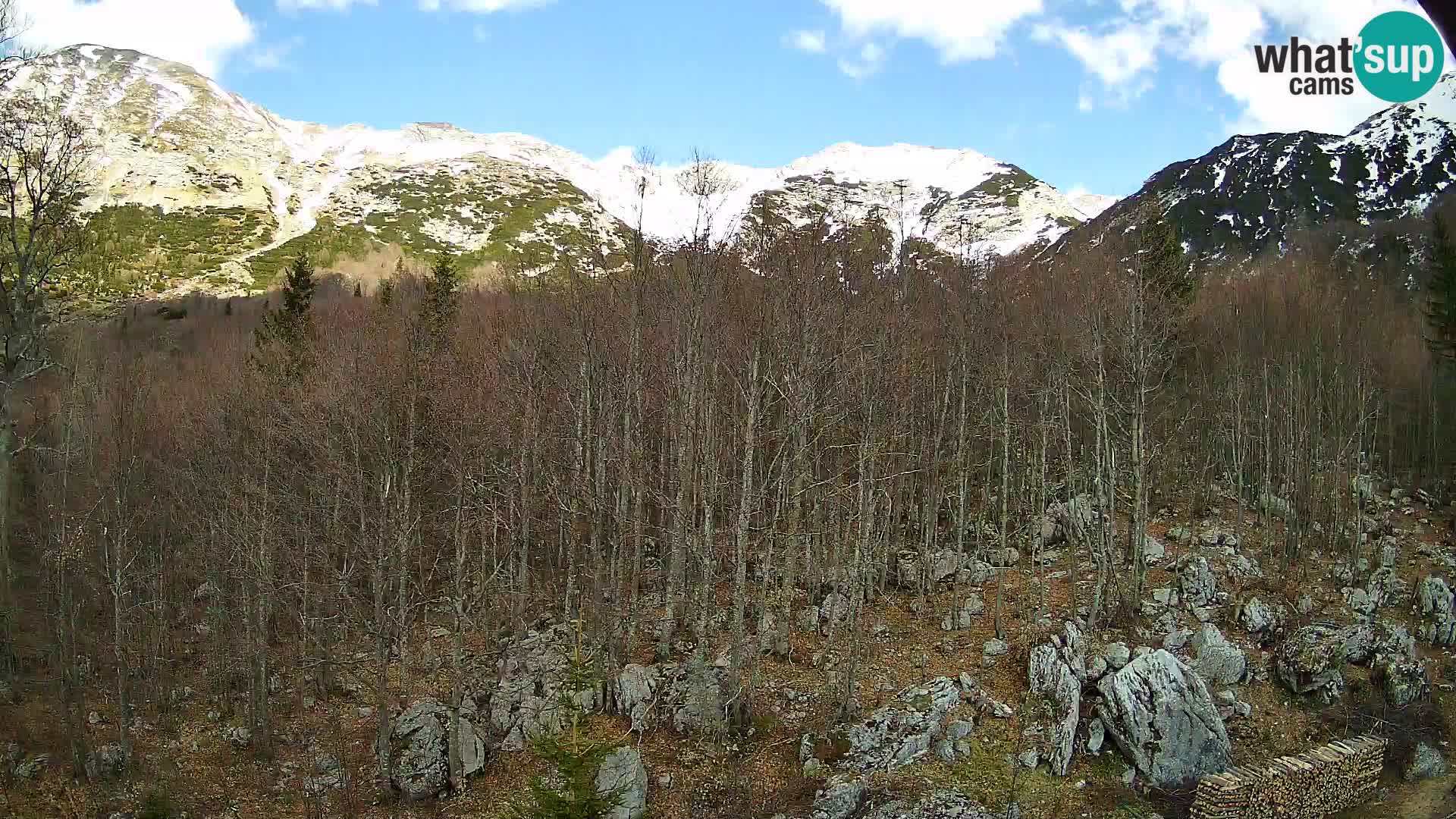 PLANINA RAZOR kamera (1315) | pogled na Vogel in Globoko