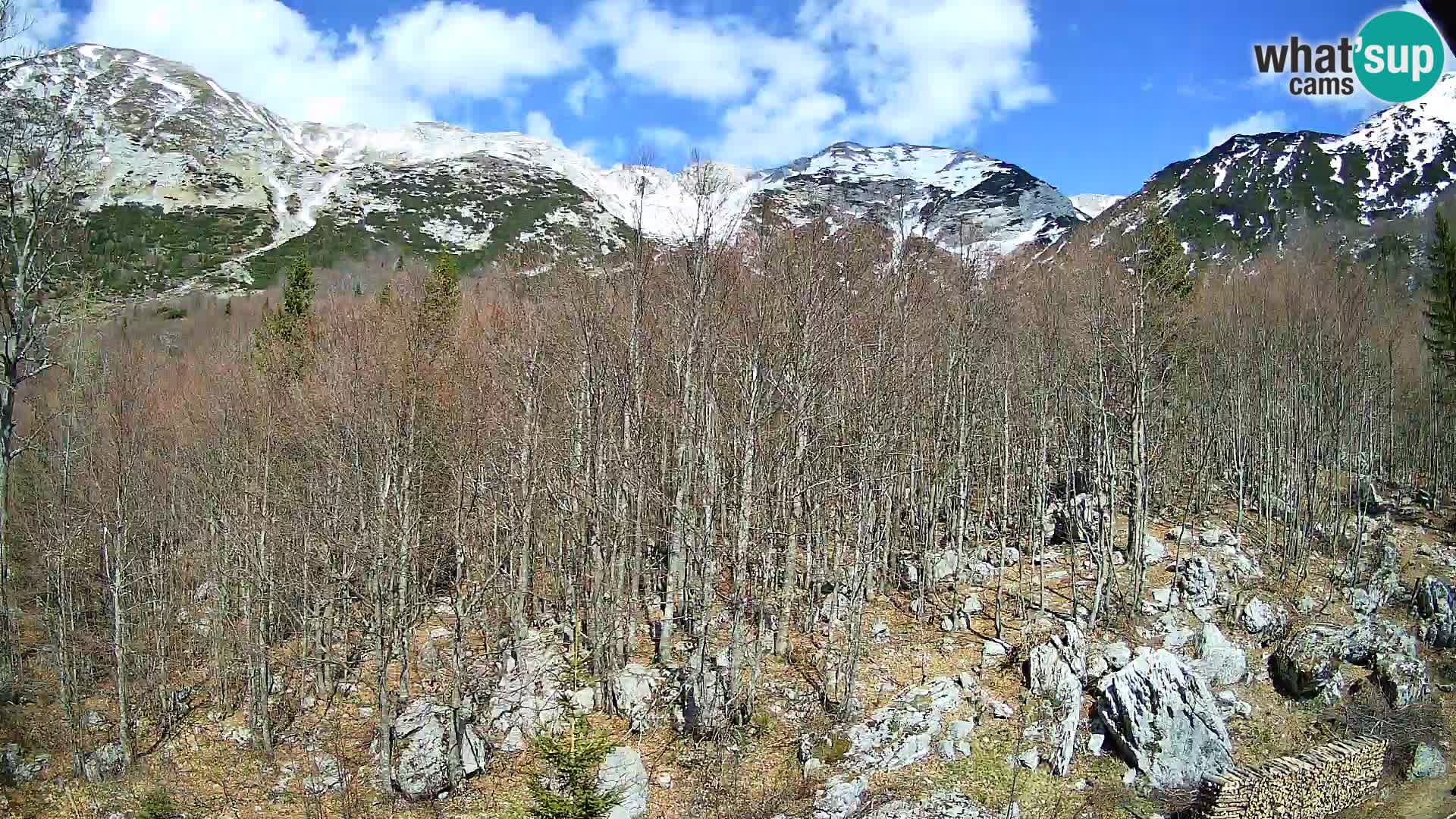 PLANINA RAZOR Live Cam (1315) | vista su Vogel e Globoko