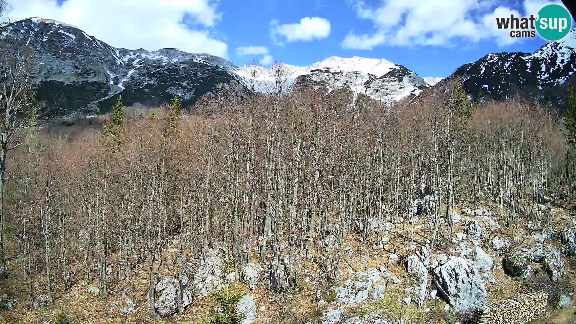 Livecam PLANINA RAZOR (1315) | vue sur Vogel et Globoko