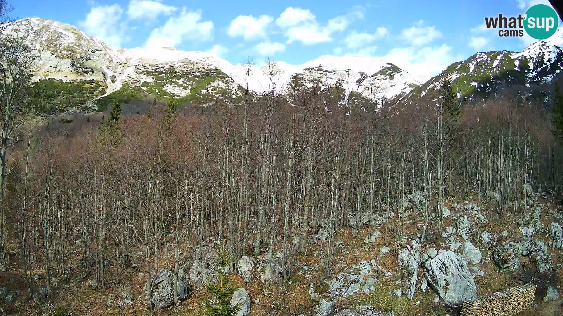 PLANINA RAZOR Live Cam (1315) | vista su Vogel e Globoko