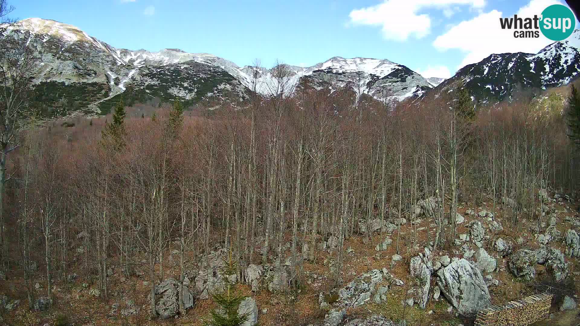 PLANINA RAZOR kamera (1315) | pogled na Vogel in Globoko