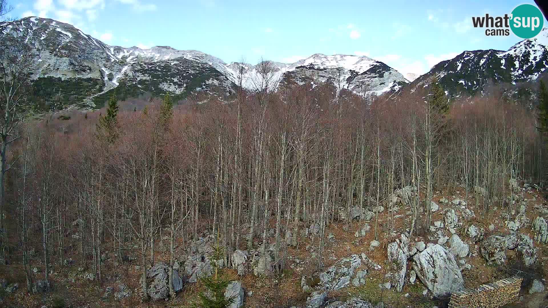 Webcam PLANINA RAZOR (1315) | Blick auf Vogel und Globoko