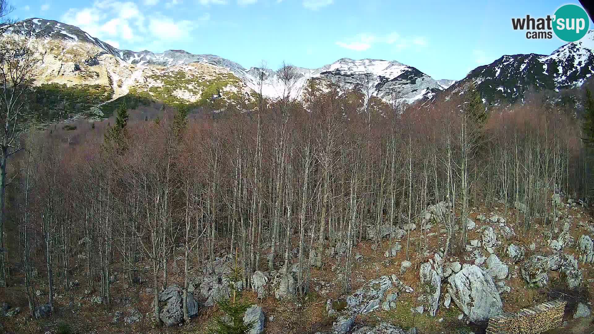 PLANINA RAZOR web kamera (1315) | pogled na Vogel i Globoko