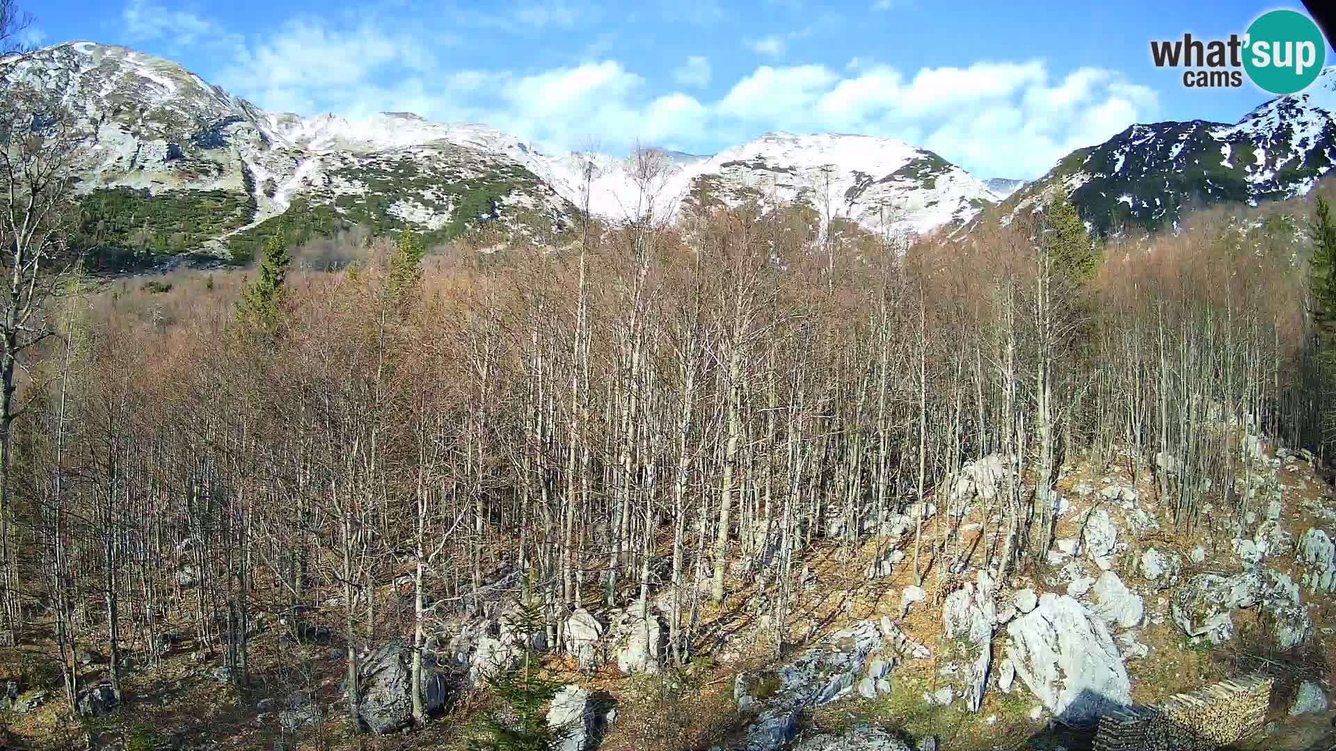 PLANINA RAZOR kamera (1315) | pogled na Vogel in Globoko