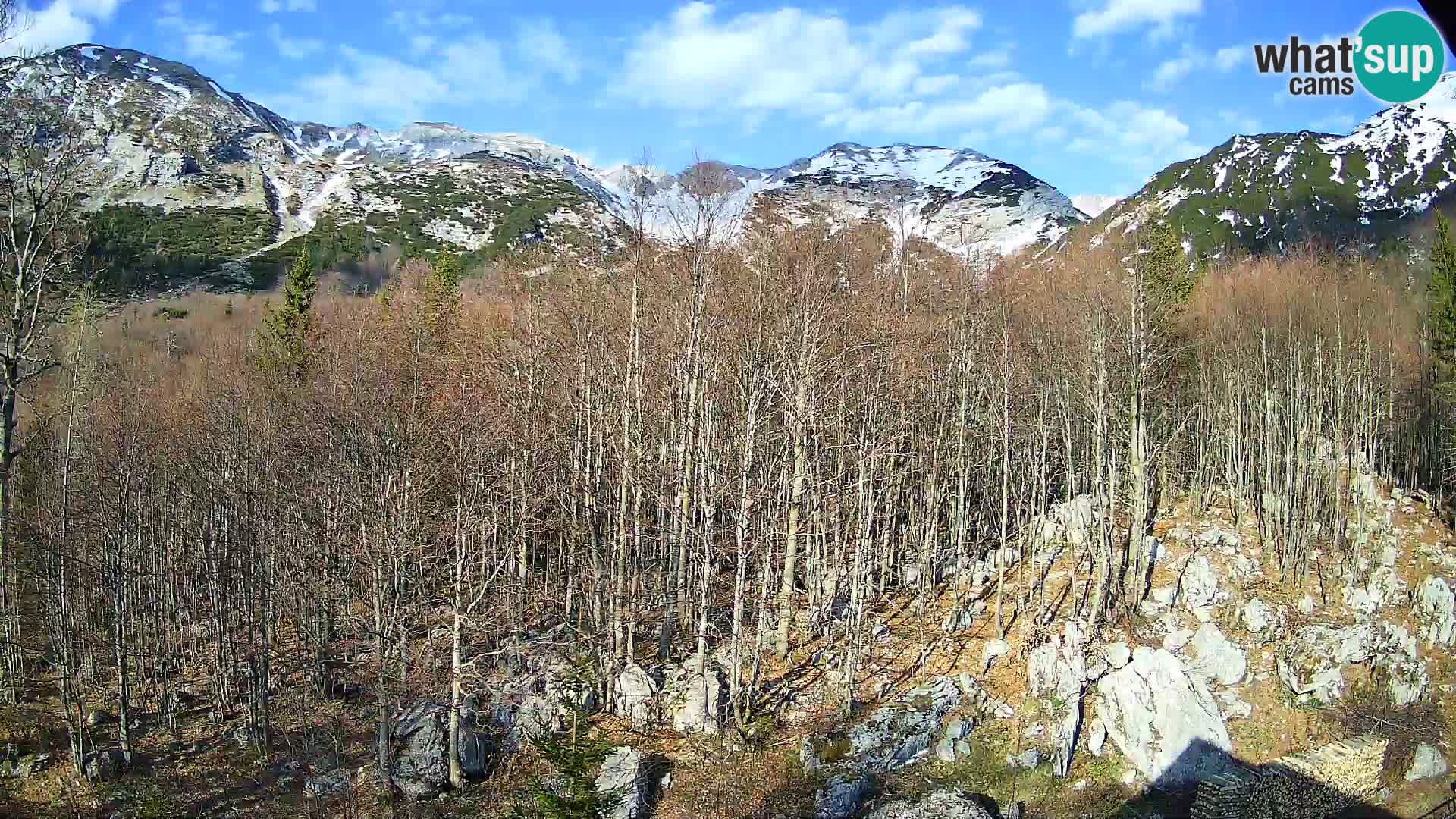PLANINA RAZOR kamera (1315) | pogled na Vogel in Globoko