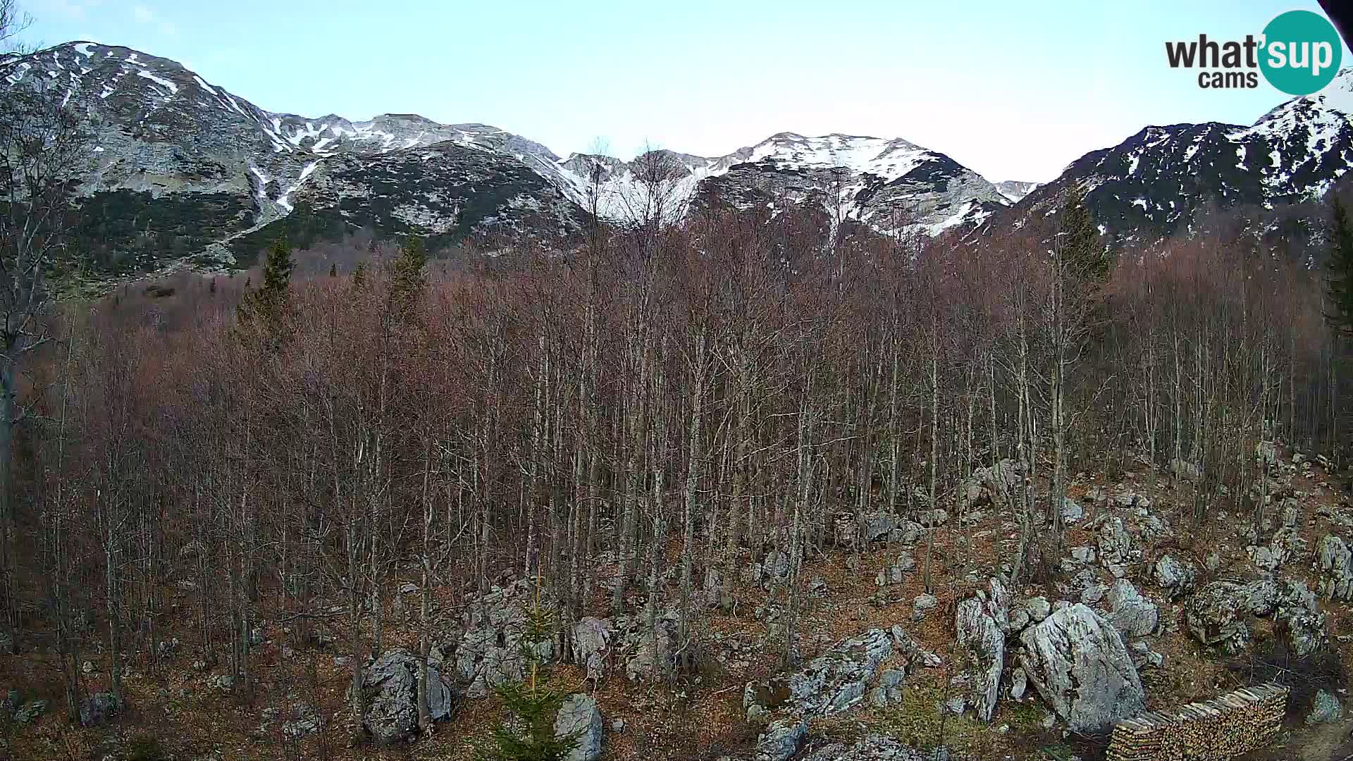 PLANINA RAZOR kamera (1315) | pogled na Vogel in Globoko
