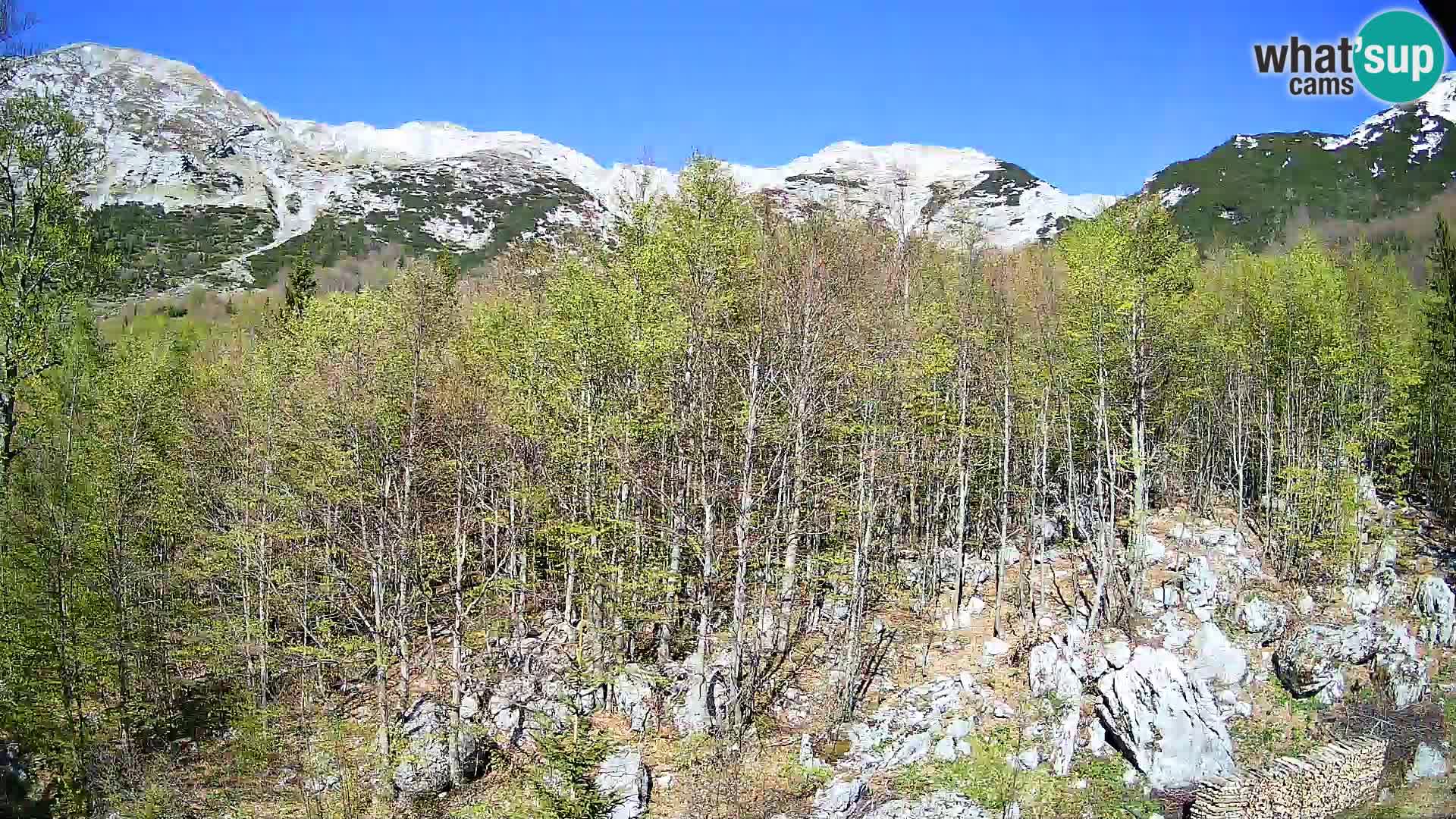 Webcam PLANINA RAZOR (1315) | Blick auf Vogel und Globoko