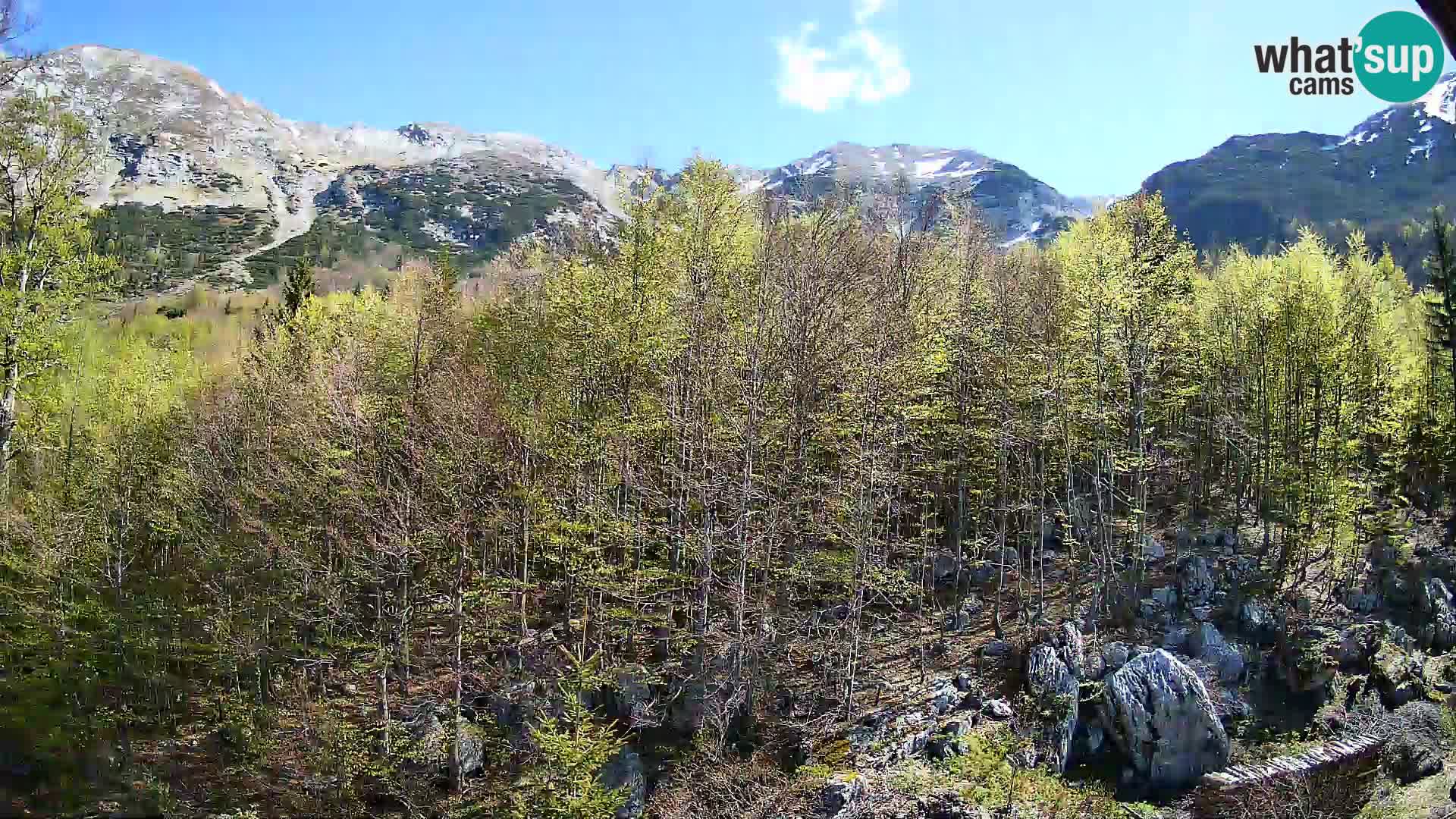 Livecam PLANINA RAZOR (1315) | vue sur Vogel et Globoko