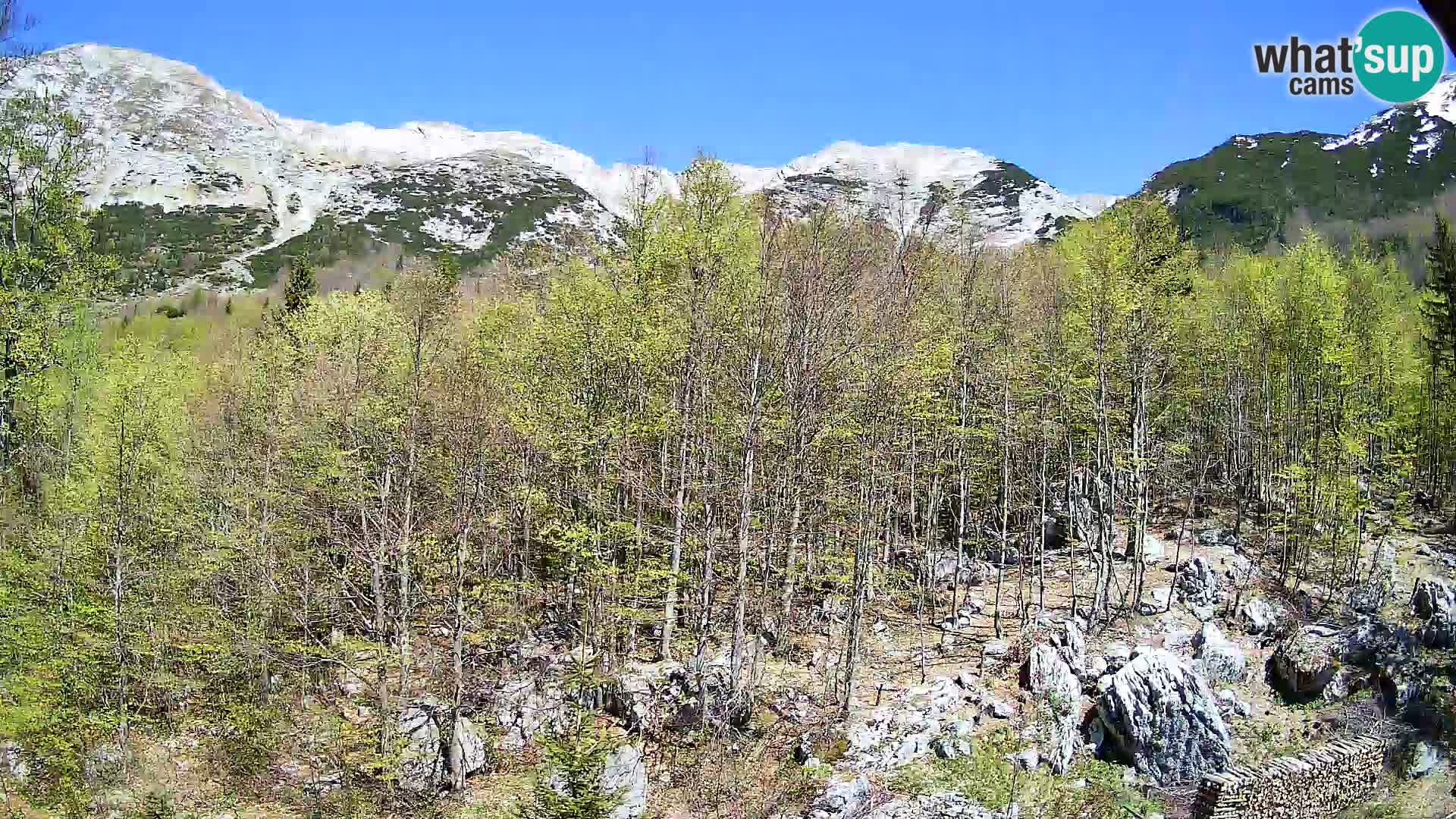 Webcam PLANINA RAZOR (1315) | Blick auf Vogel und Globoko