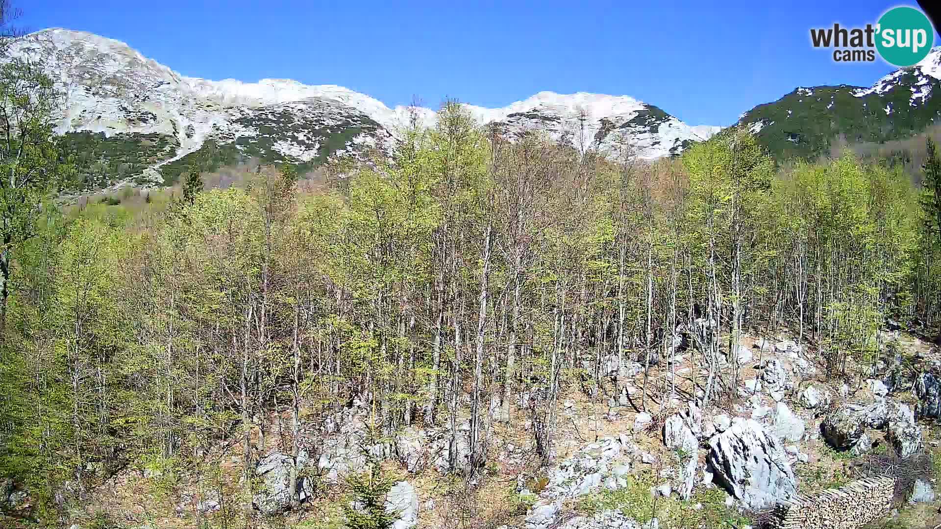 Livecam PLANINA RAZOR (1315) | vue sur Vogel et Globoko