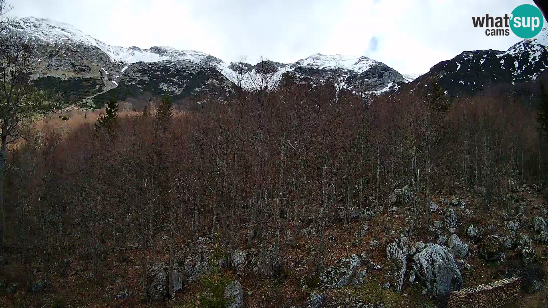 PLANINA RAZOR Live Cam (1315) | vista su Vogel e Globoko