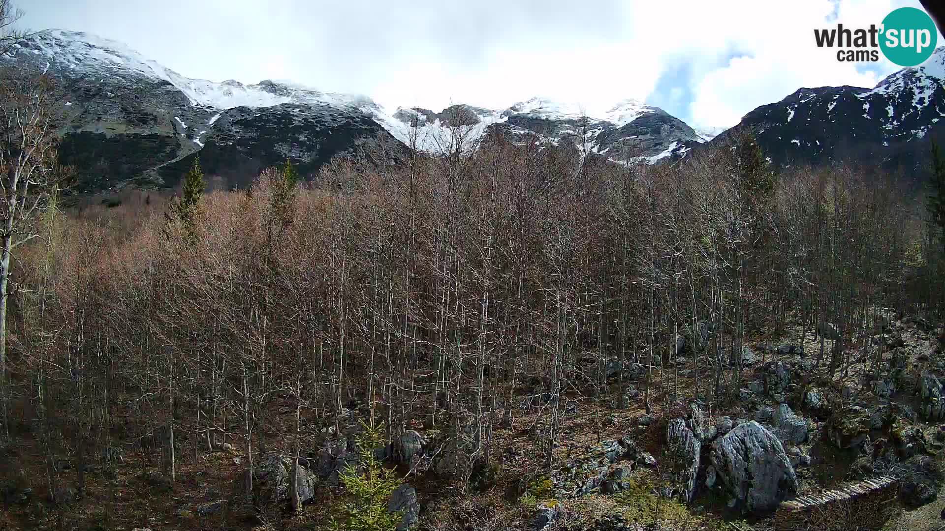 PLANINA RAZOR Live Cam (1315) | vista su Vogel e Globoko
