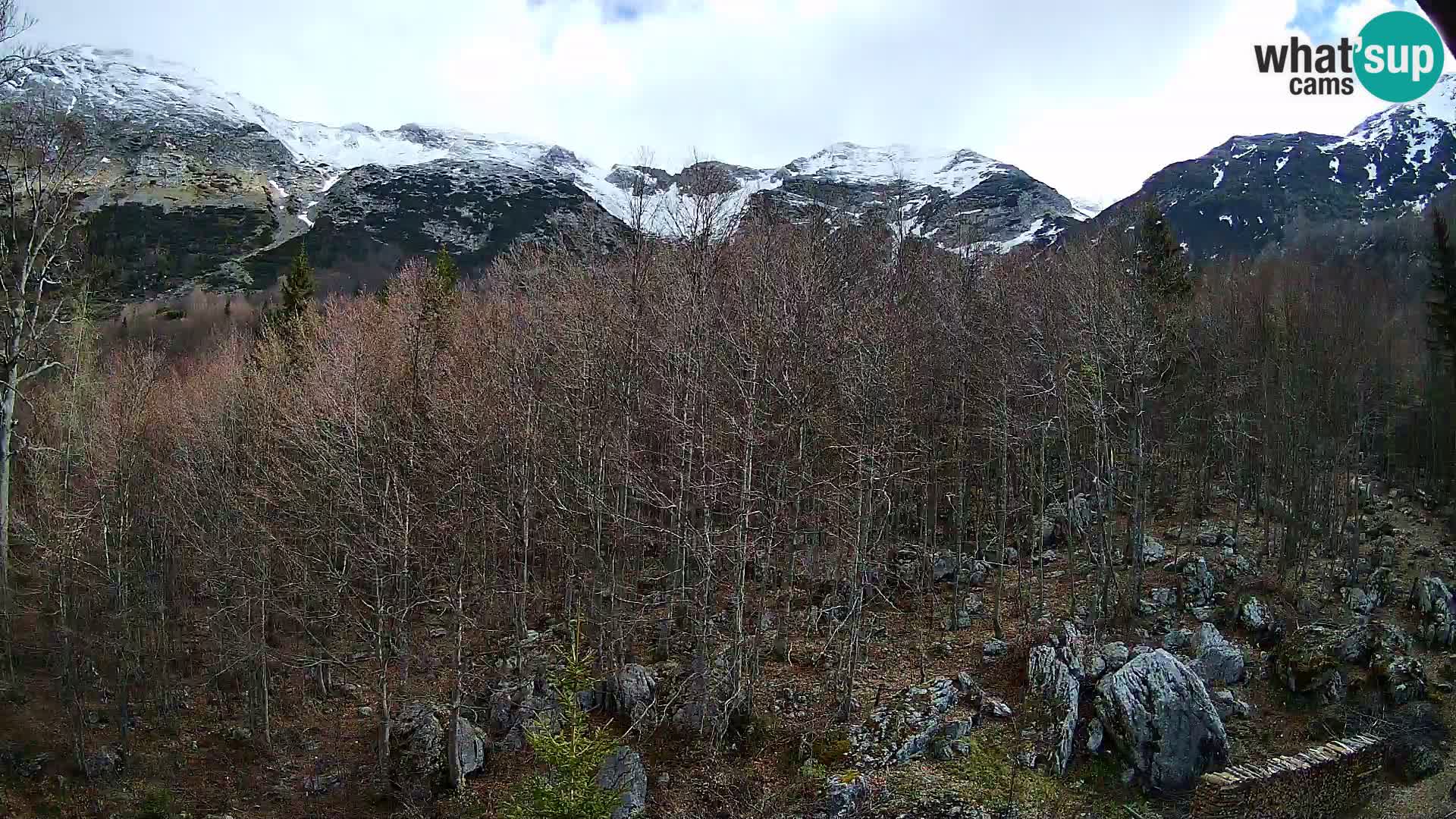 Webcam PLANINA RAZOR (1315) | Blick auf Vogel und Globoko