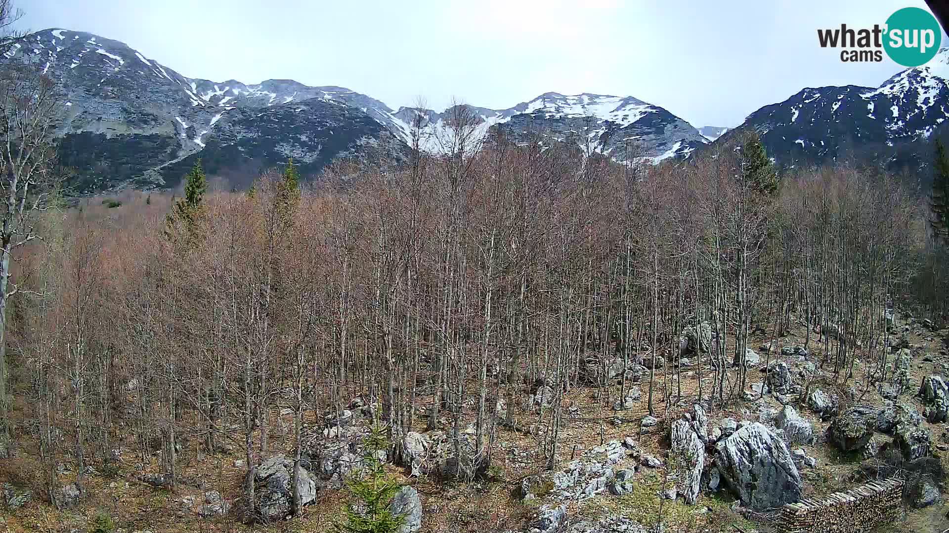 PLANINA RAZOR webcam (1315) | view to Vogel and Globoko
