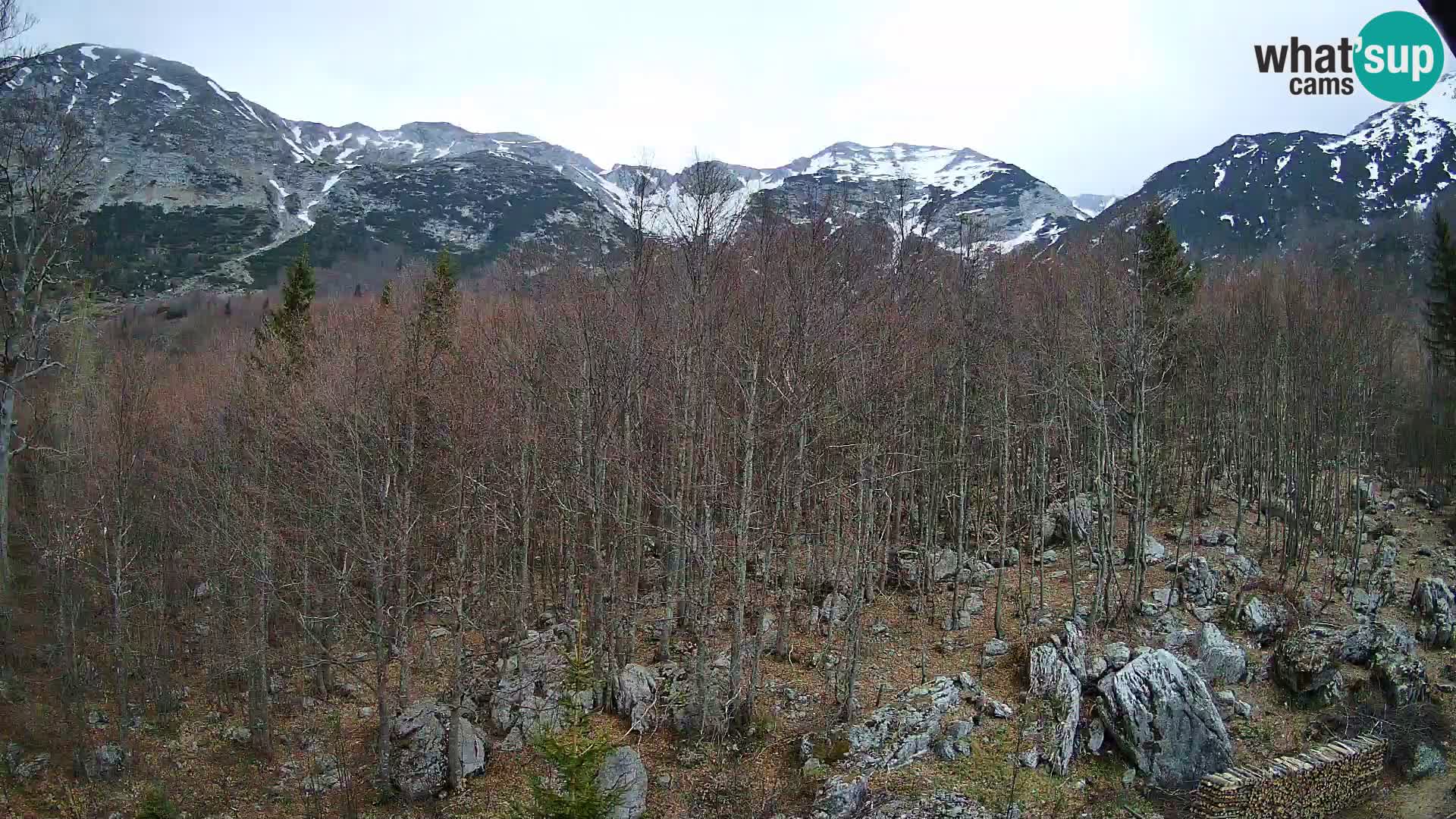 Webcam PLANINA RAZOR (1315) | Blick auf Vogel und Globoko