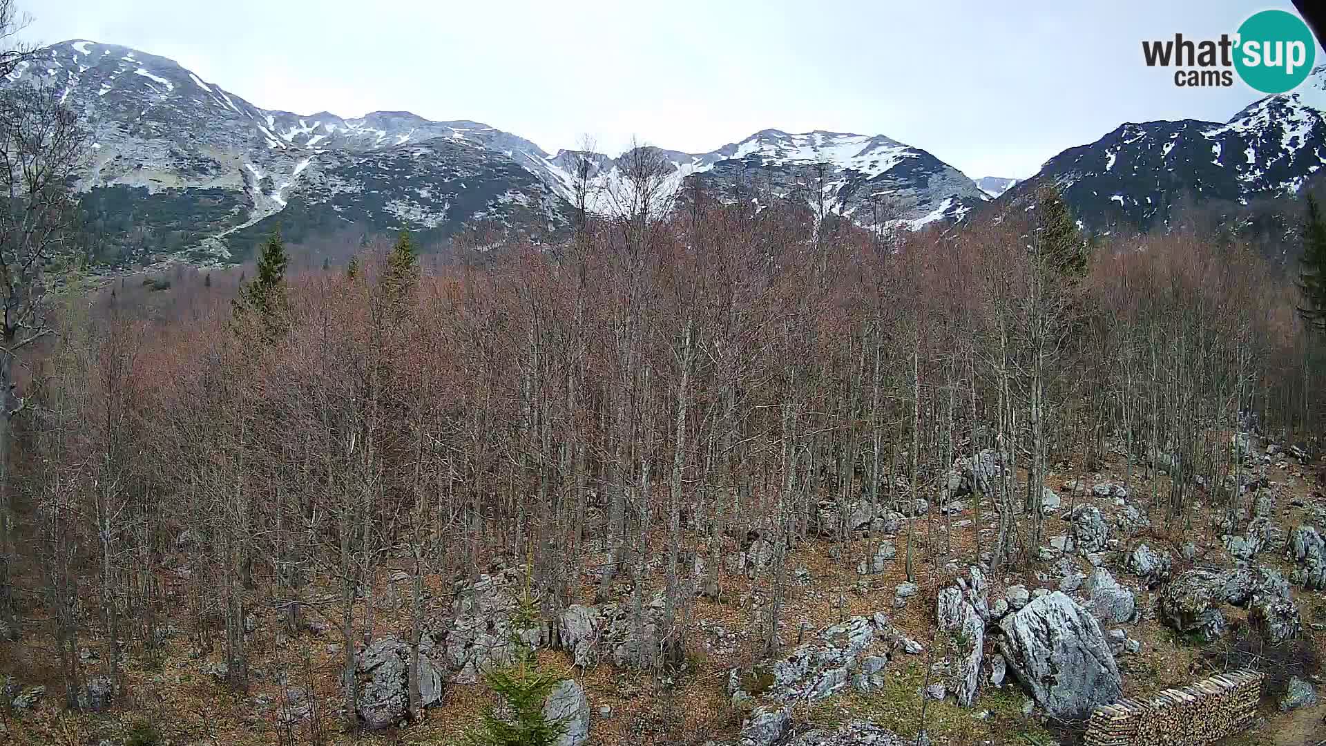 Livecam PLANINA RAZOR (1315) | vue sur Vogel et Globoko