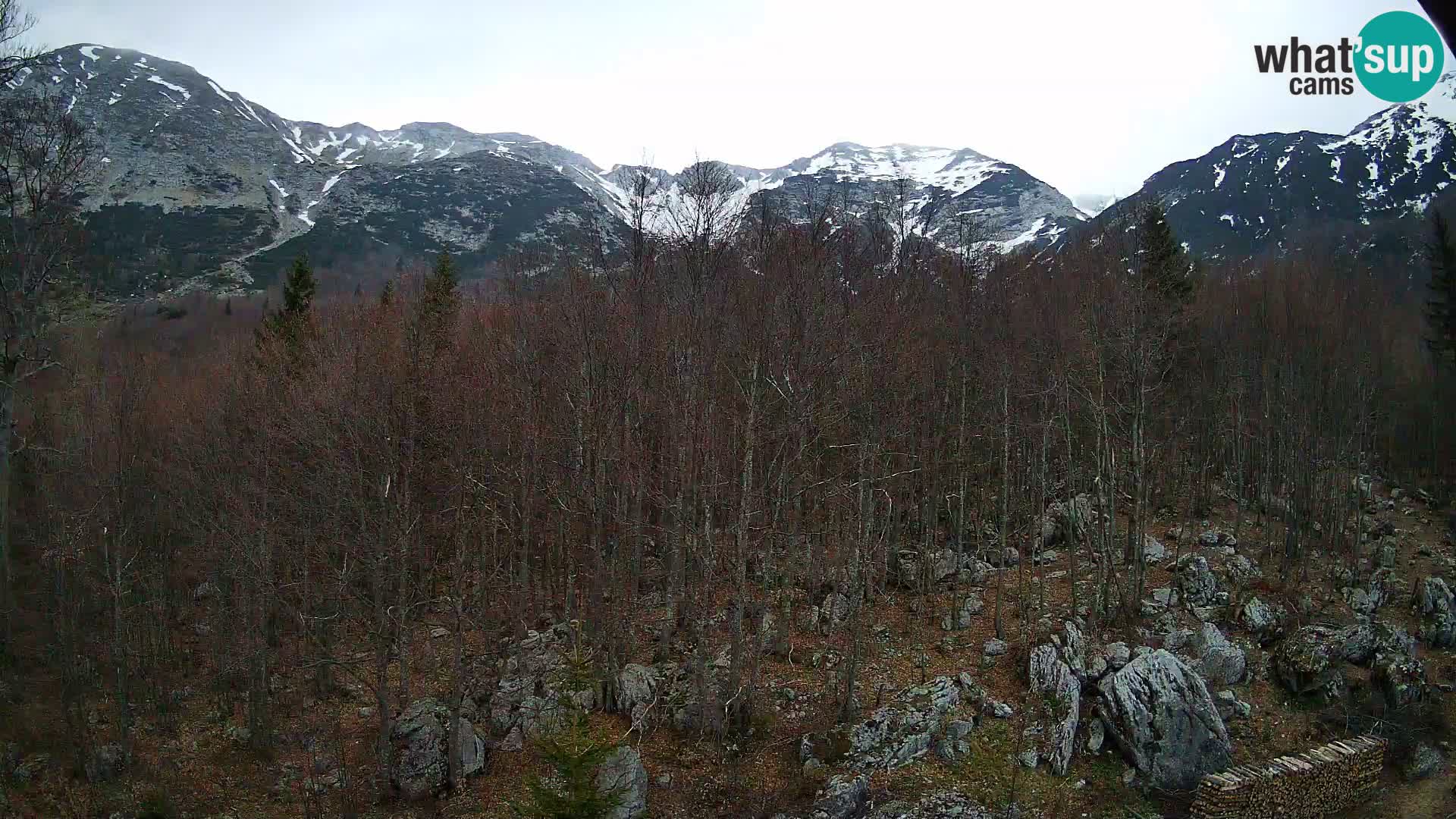 Livecam PLANINA RAZOR (1315) | vue sur Vogel et Globoko