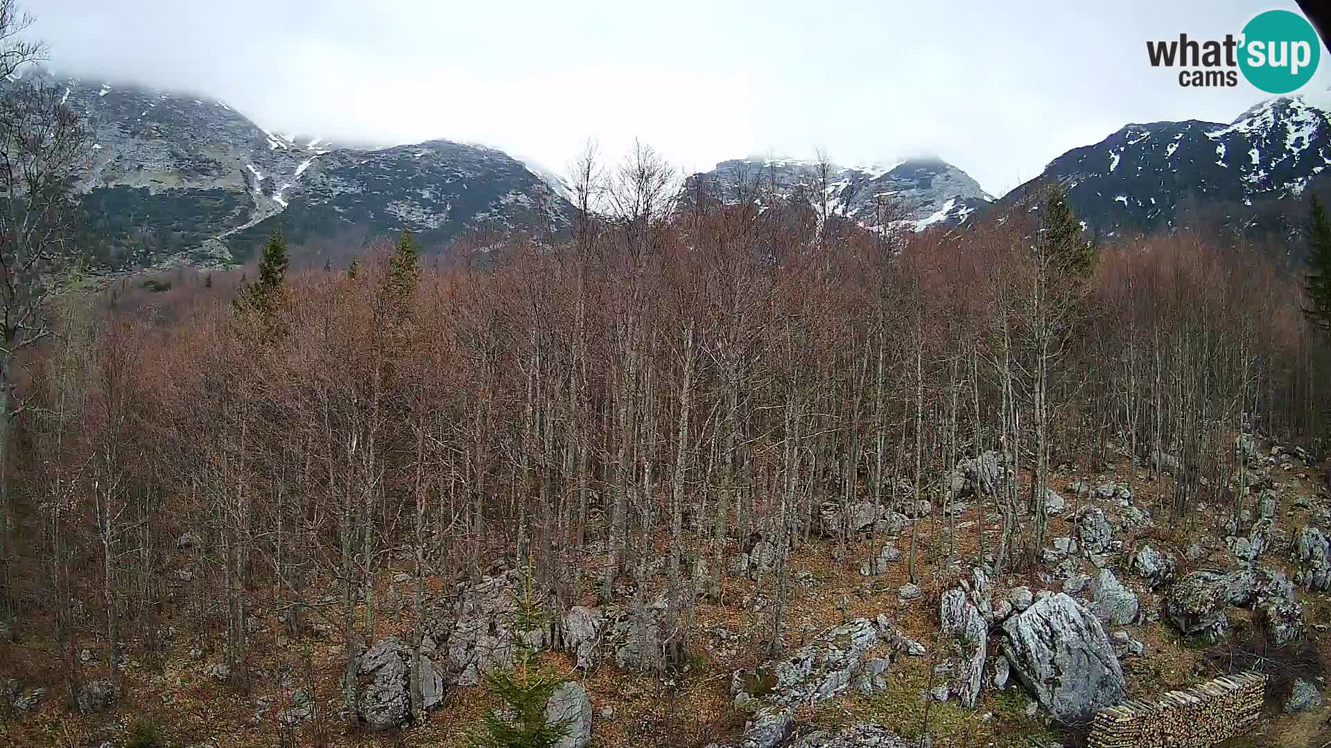 PLANINA RAZOR webcam (1315) | view to Vogel and Globoko