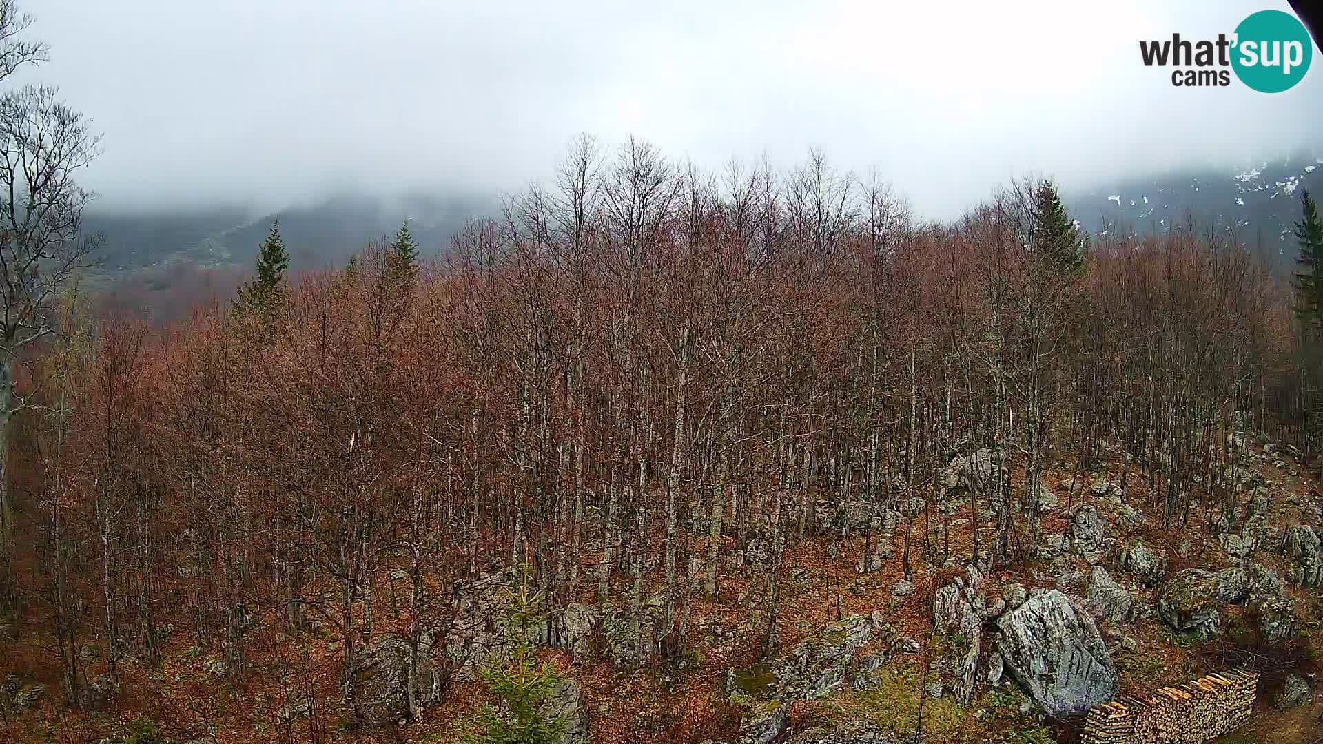 PLANINA RAZOR kamera (1315) | pogled na Vogel in Globoko