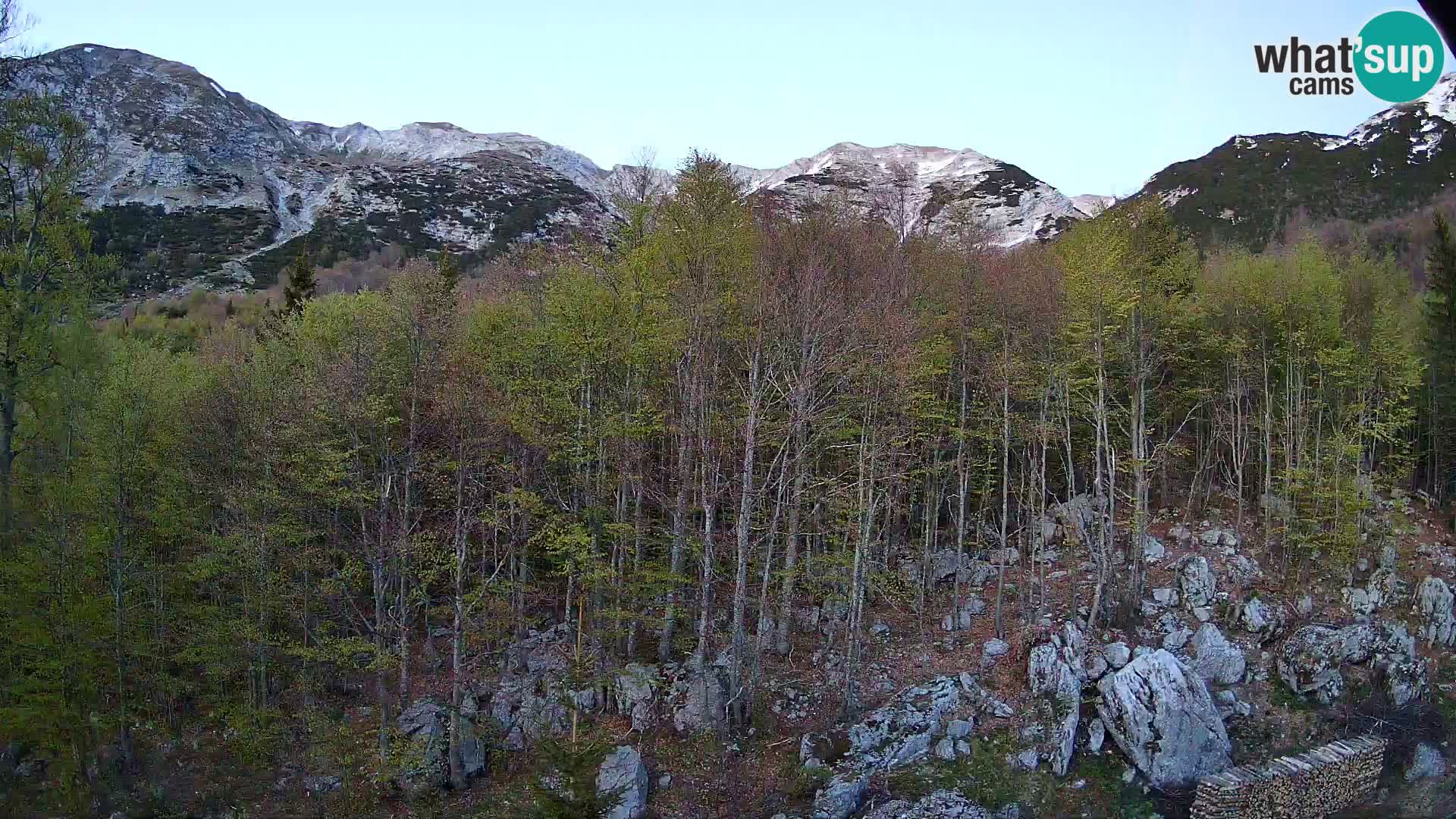 Livecam PLANINA RAZOR (1315) | vue sur Vogel et Globoko