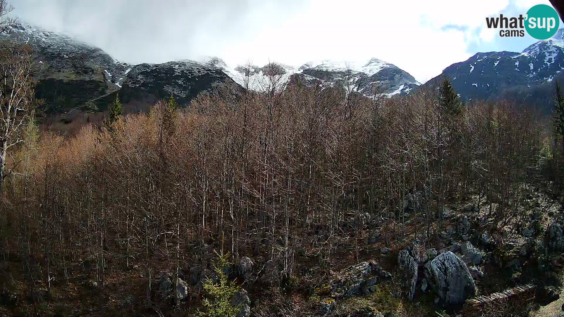 PLANINA RAZOR webcam (1315) | view to Vogel and Globoko