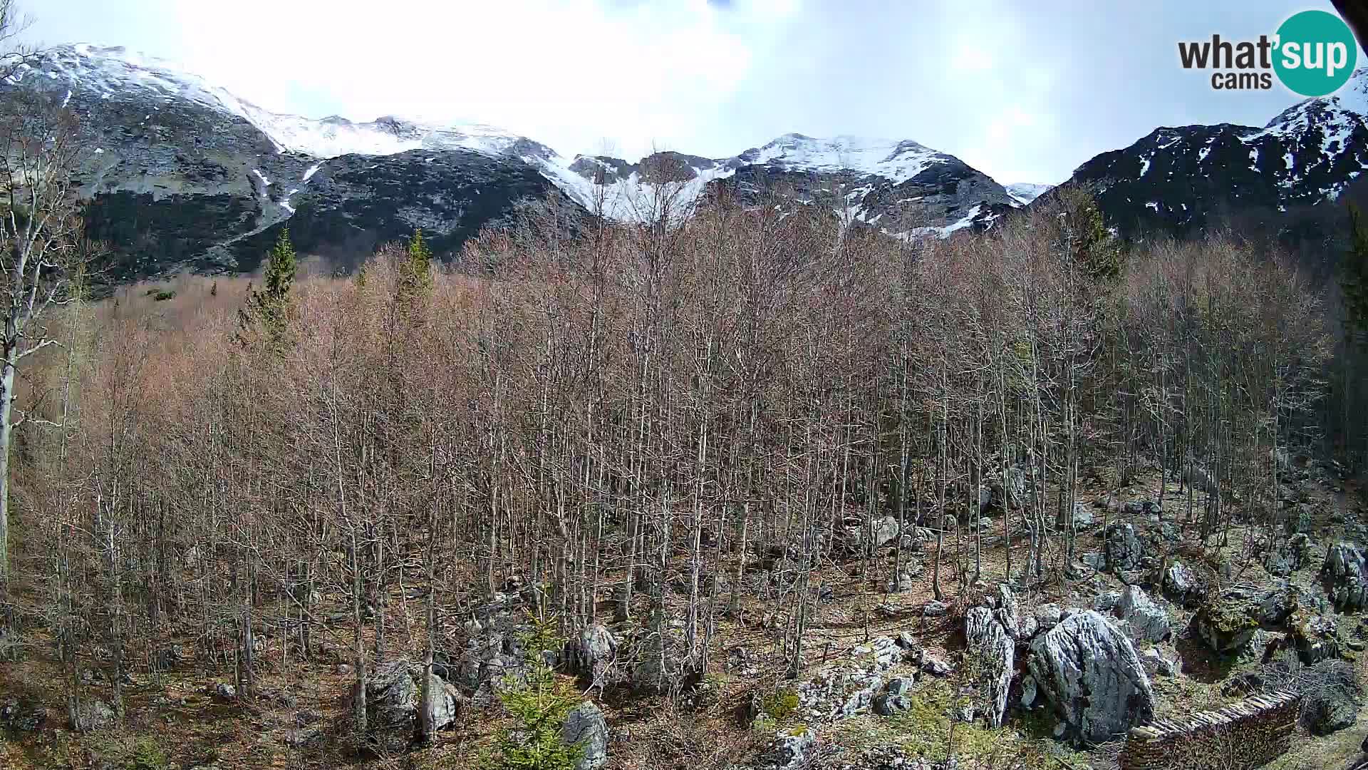 PLANINA RAZOR Live Cam (1315) | vista su Vogel e Globoko