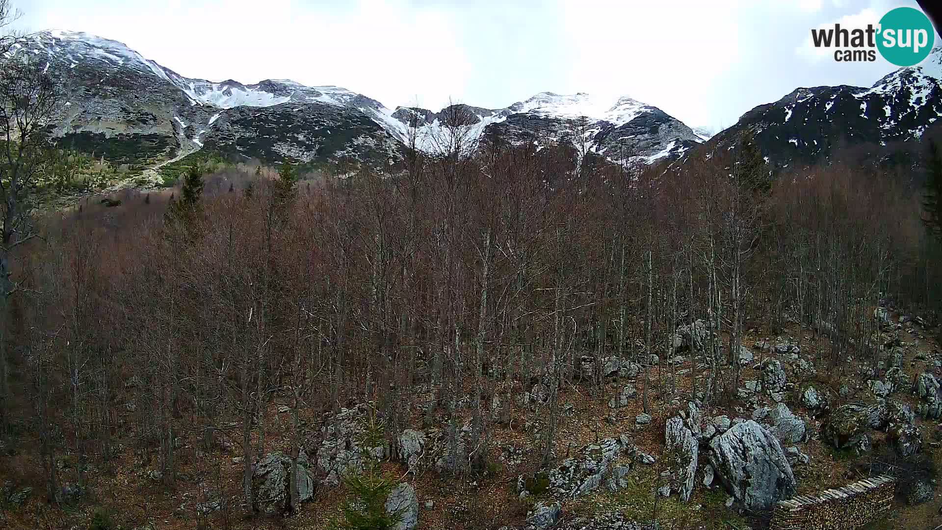 Cámara web PLANINA RAZOR (1315) | vista a Vogel y Globoko