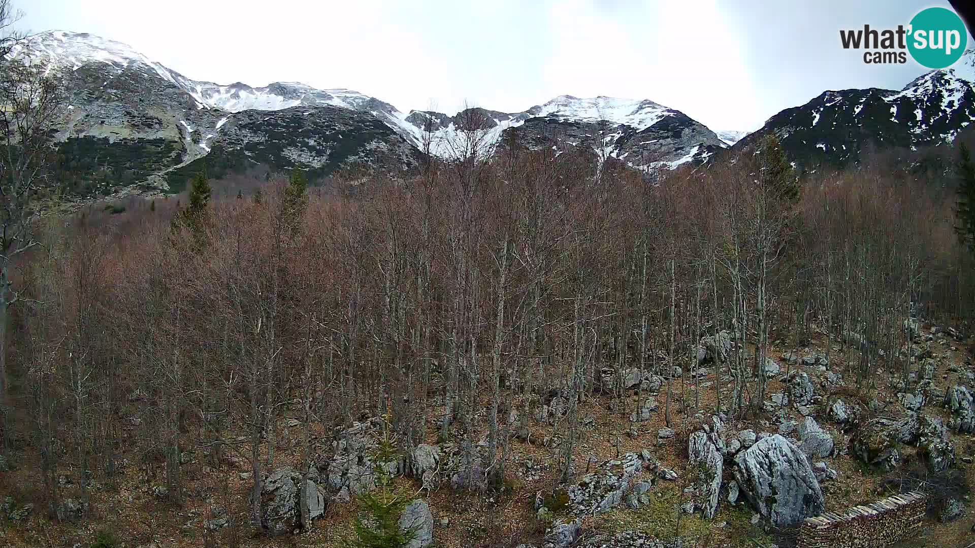 Webcam PLANINA RAZOR (1315) | Blick auf Vogel und Globoko