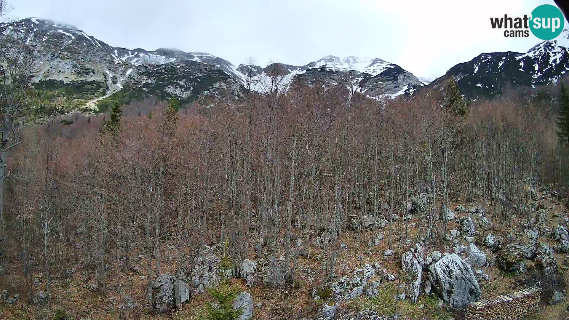 PLANINA RAZOR Live Cam (1315) | vista su Vogel e Globoko