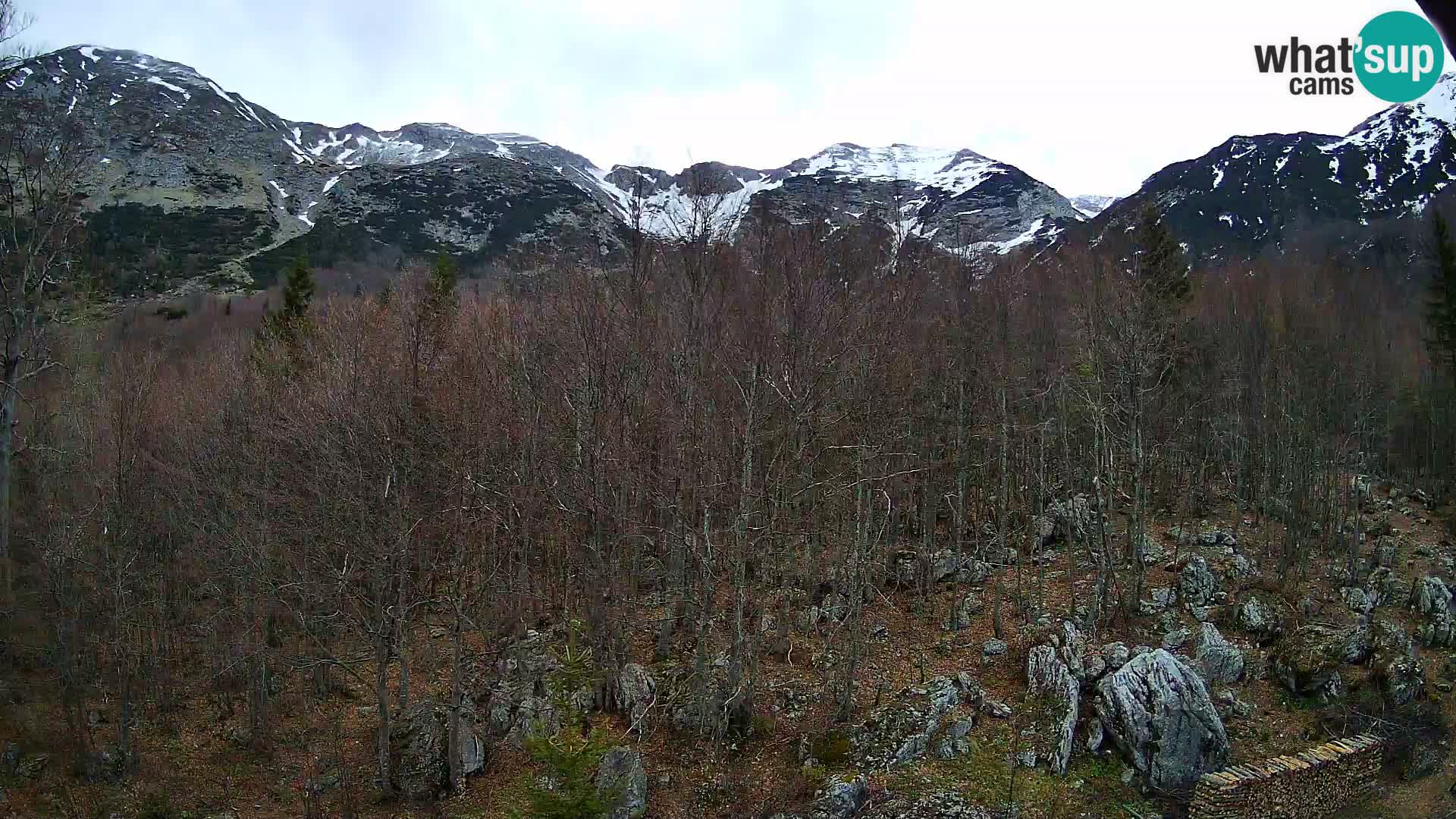 PLANINA RAZOR kamera (1315) | pogled na Vogel in Globoko
