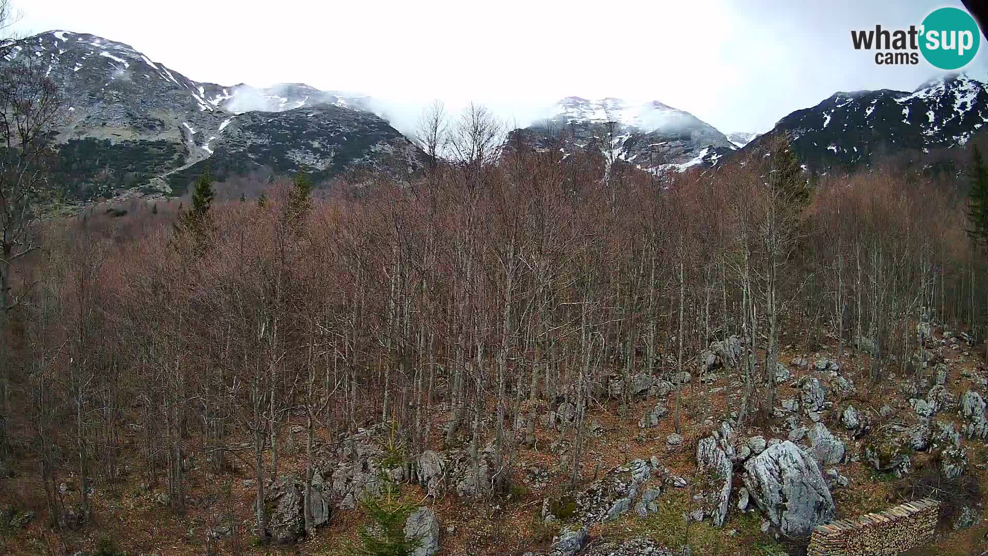 Webcam PLANINA RAZOR (1315) | Blick auf Vogel und Globoko