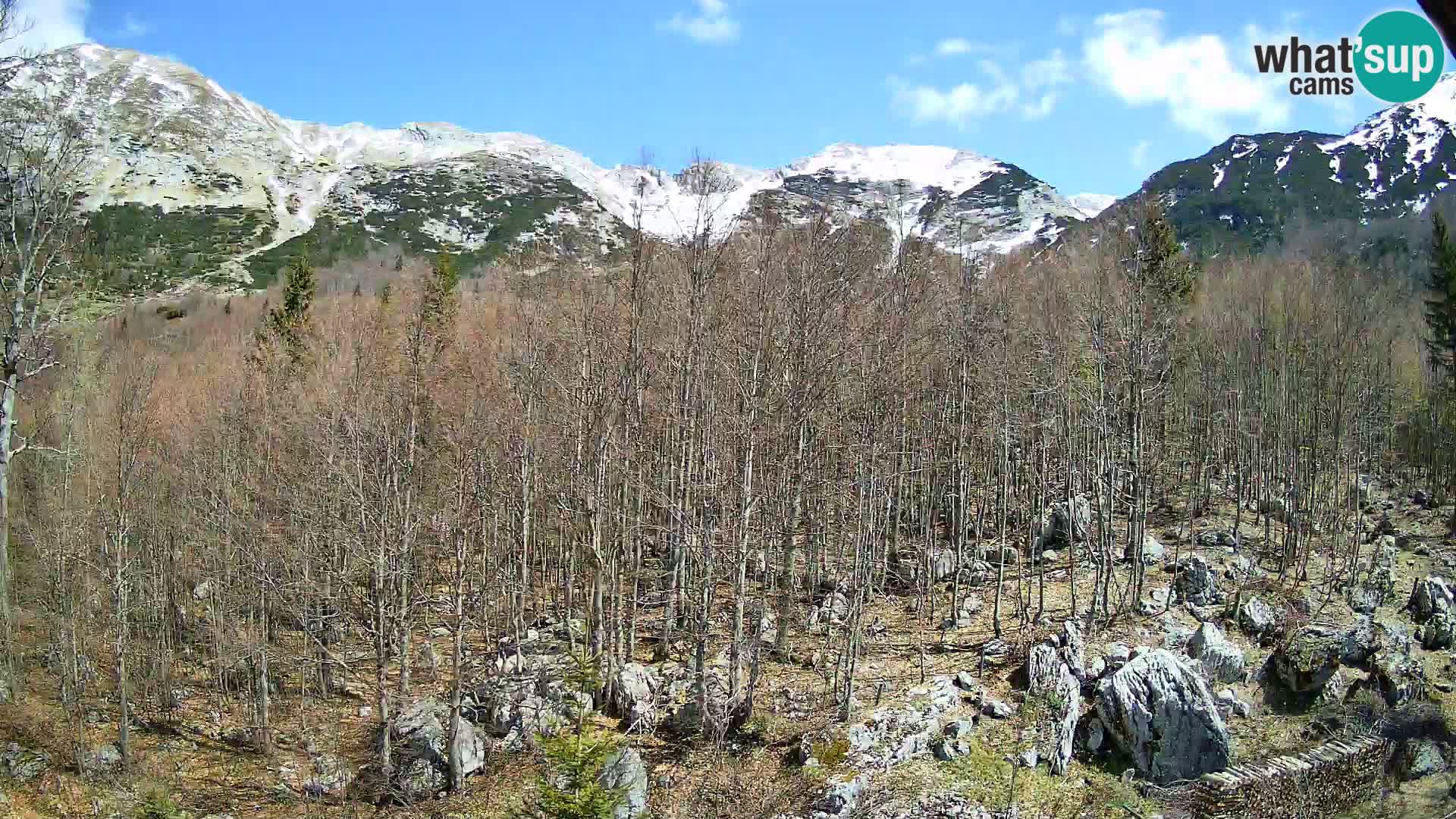 Cámara web PLANINA RAZOR (1315) | vista a Vogel y Globoko
