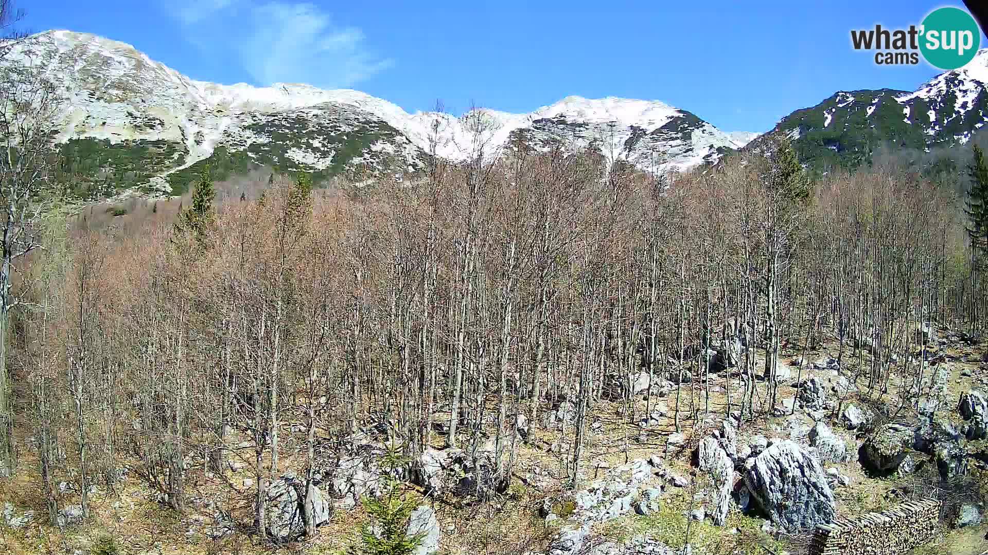 PLANINA RAZOR webcam (1315) | view to Vogel and Globoko