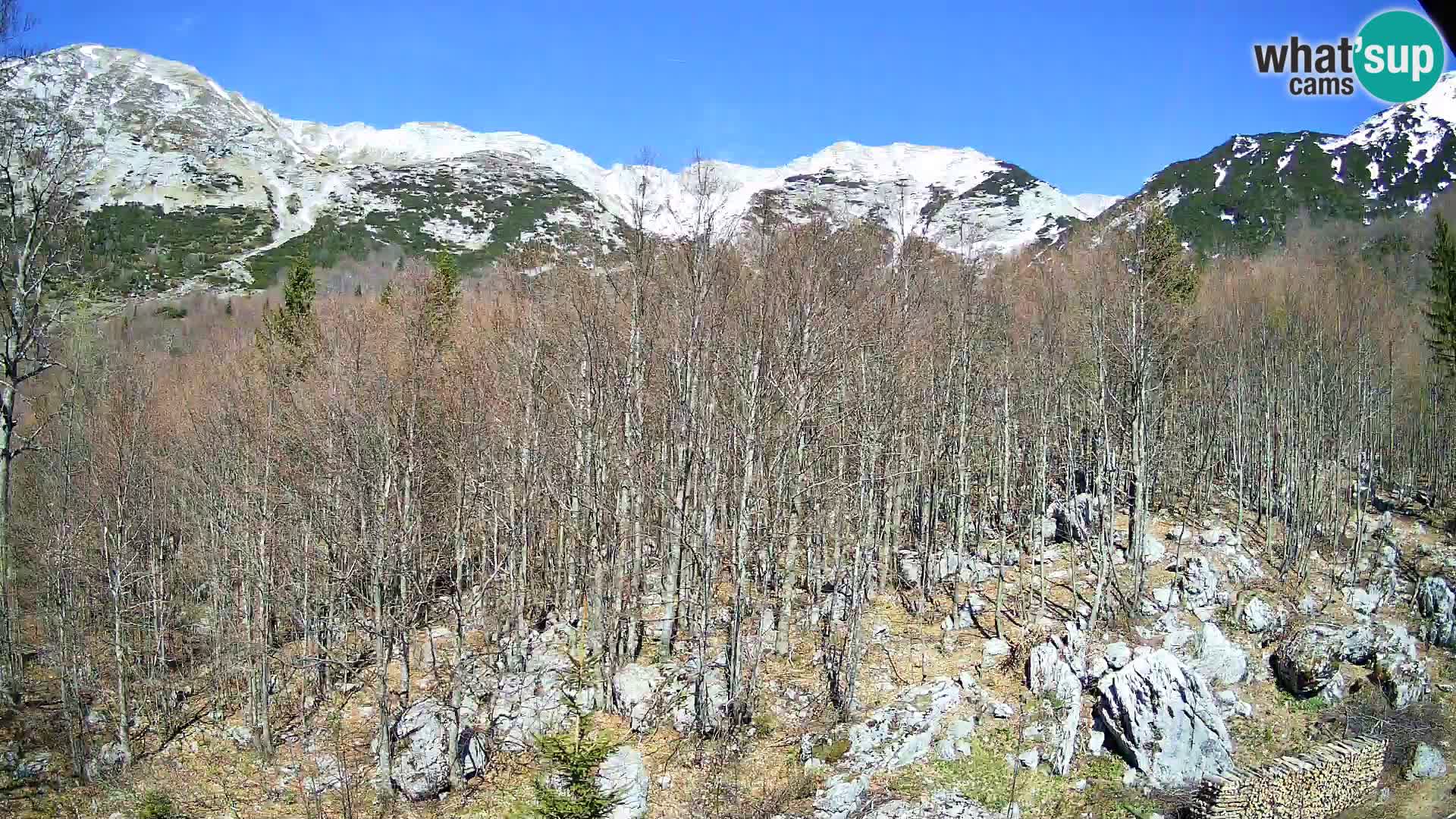 PLANINA RAZOR webcam (1315) | view to Vogel and Globoko