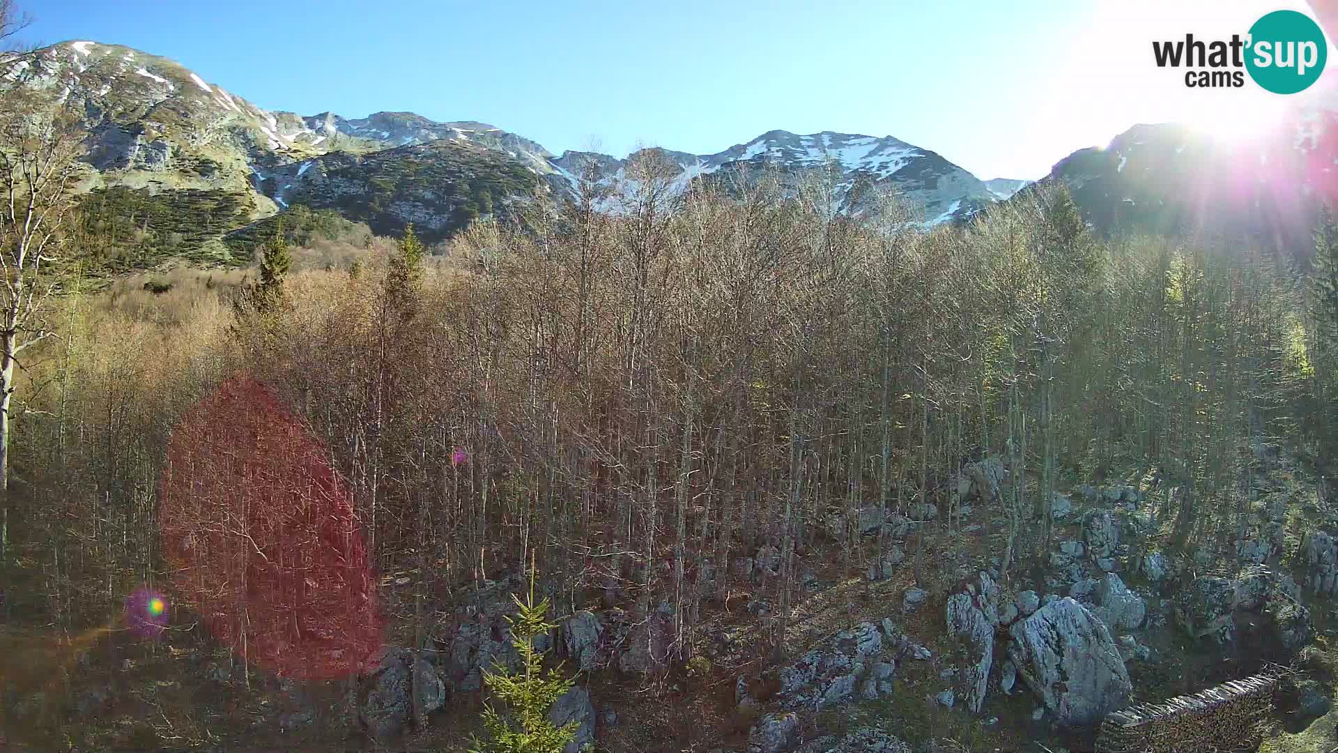 Webcam PLANINA RAZOR (1315) | Blick auf Vogel und Globoko