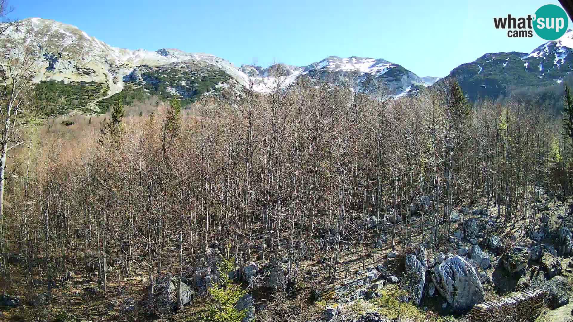 Webcam PLANINA RAZOR (1315) | Blick auf Vogel und Globoko