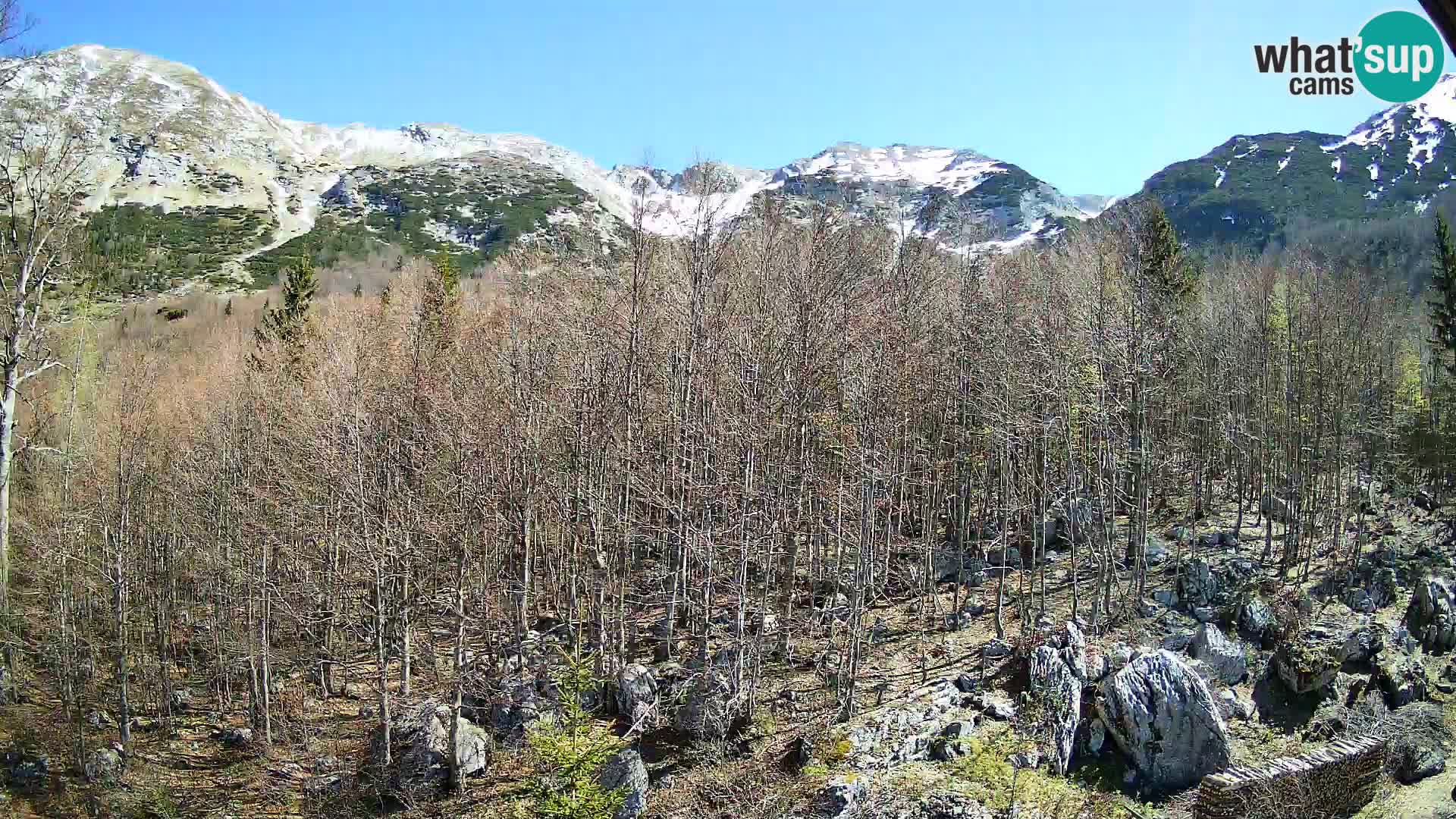 Webcam PLANINA RAZOR (1315) | Blick auf Vogel und Globoko