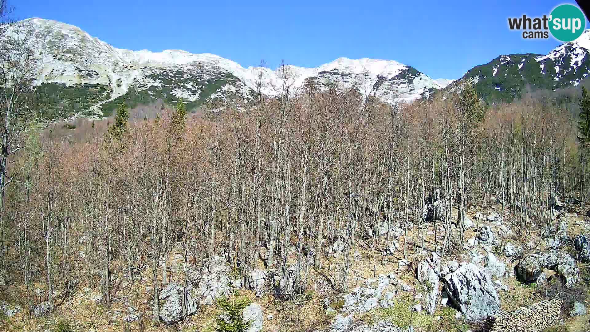 PLANINA RAZOR webcam (1315) | view to Vogel and Globoko