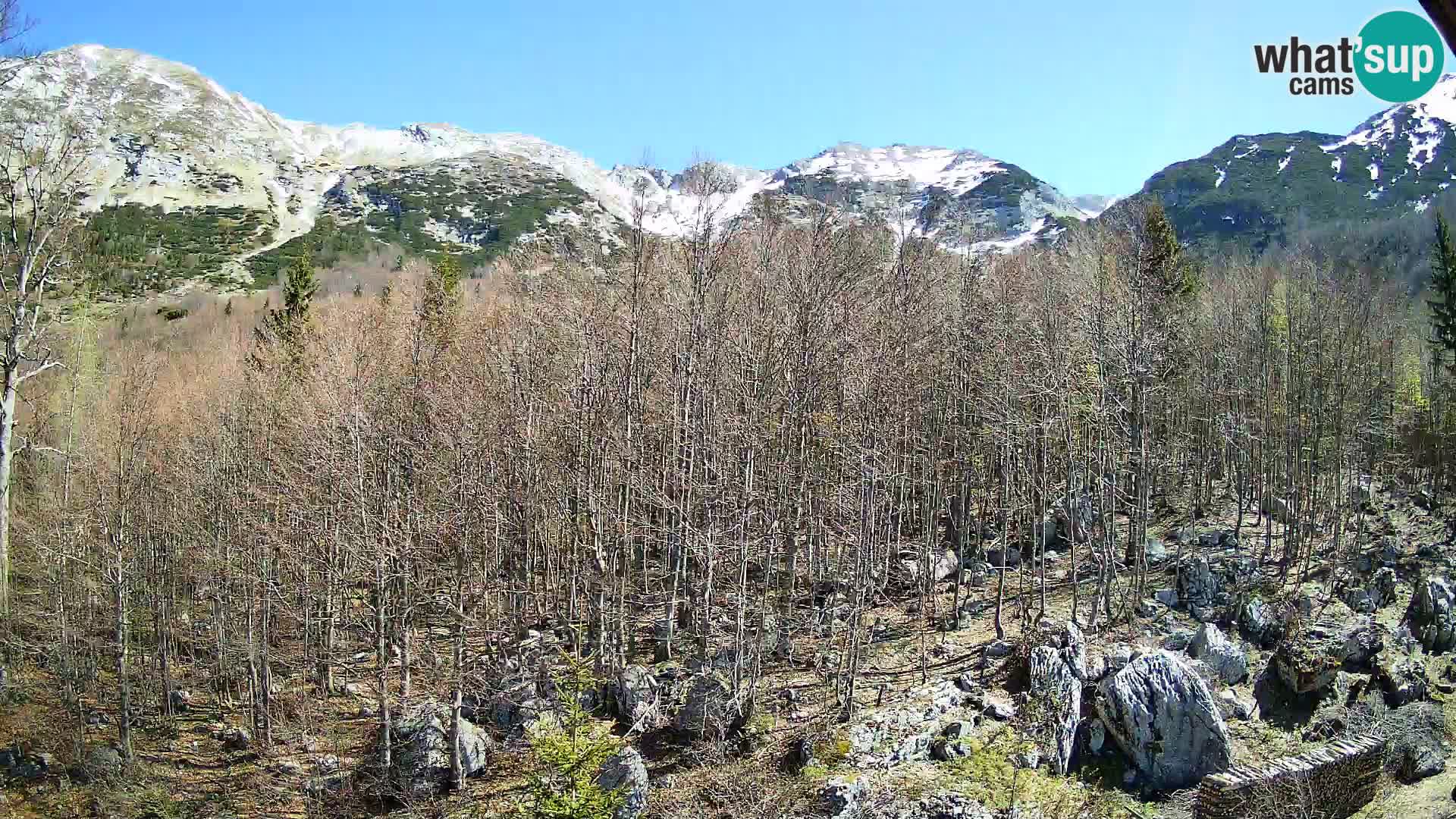 Cámara web PLANINA RAZOR (1315) | vista a Vogel y Globoko