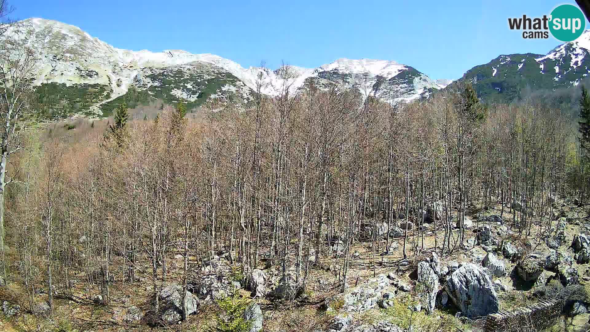 PLANINA RAZOR kamera (1315) | pogled na Vogel in Globoko