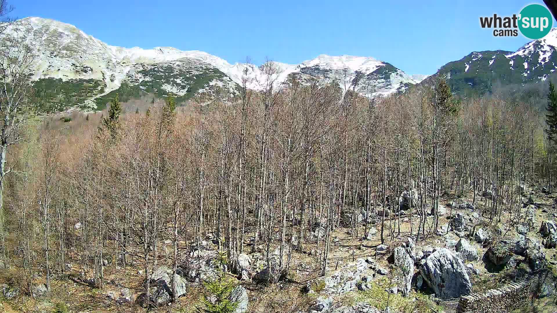 Livecam PLANINA RAZOR (1315) | vue sur Vogel et Globoko