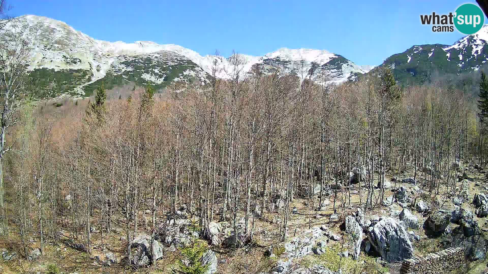 Cámara web PLANINA RAZOR (1315) | vista a Vogel y Globoko