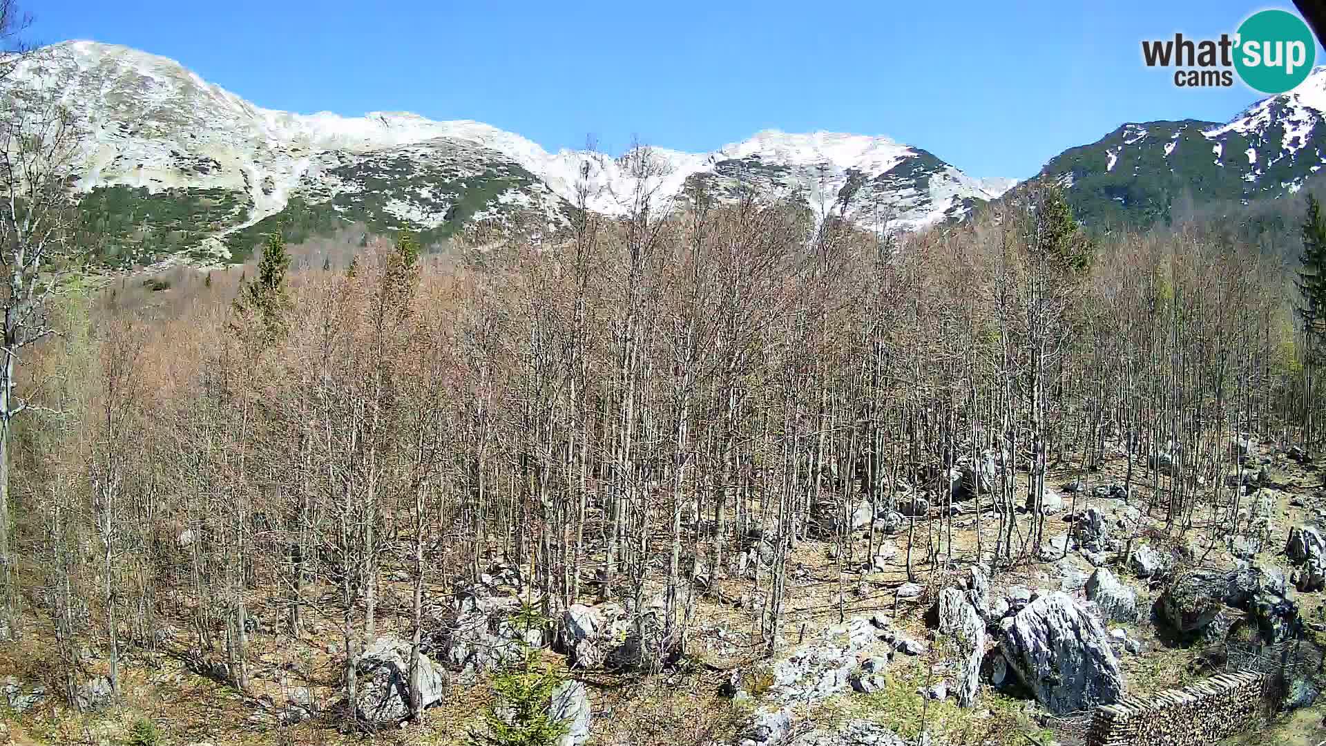 Livecam PLANINA RAZOR (1315) | vue sur Vogel et Globoko